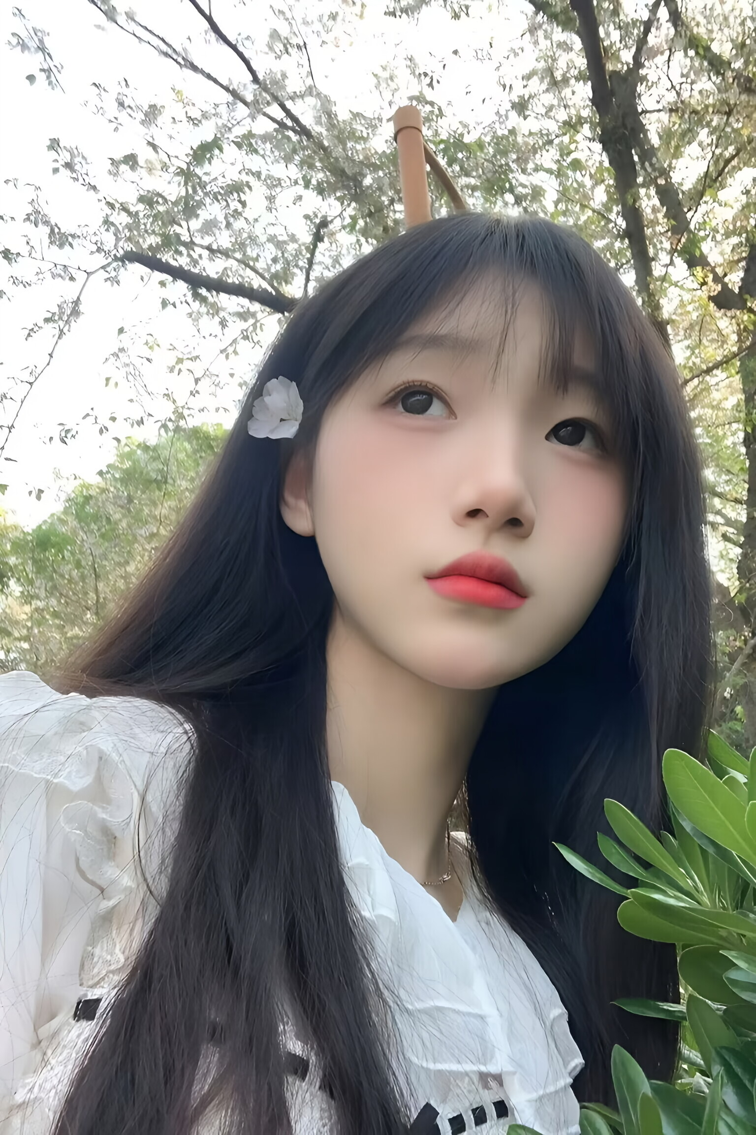 17岁的夏天,青春是多么的美好!