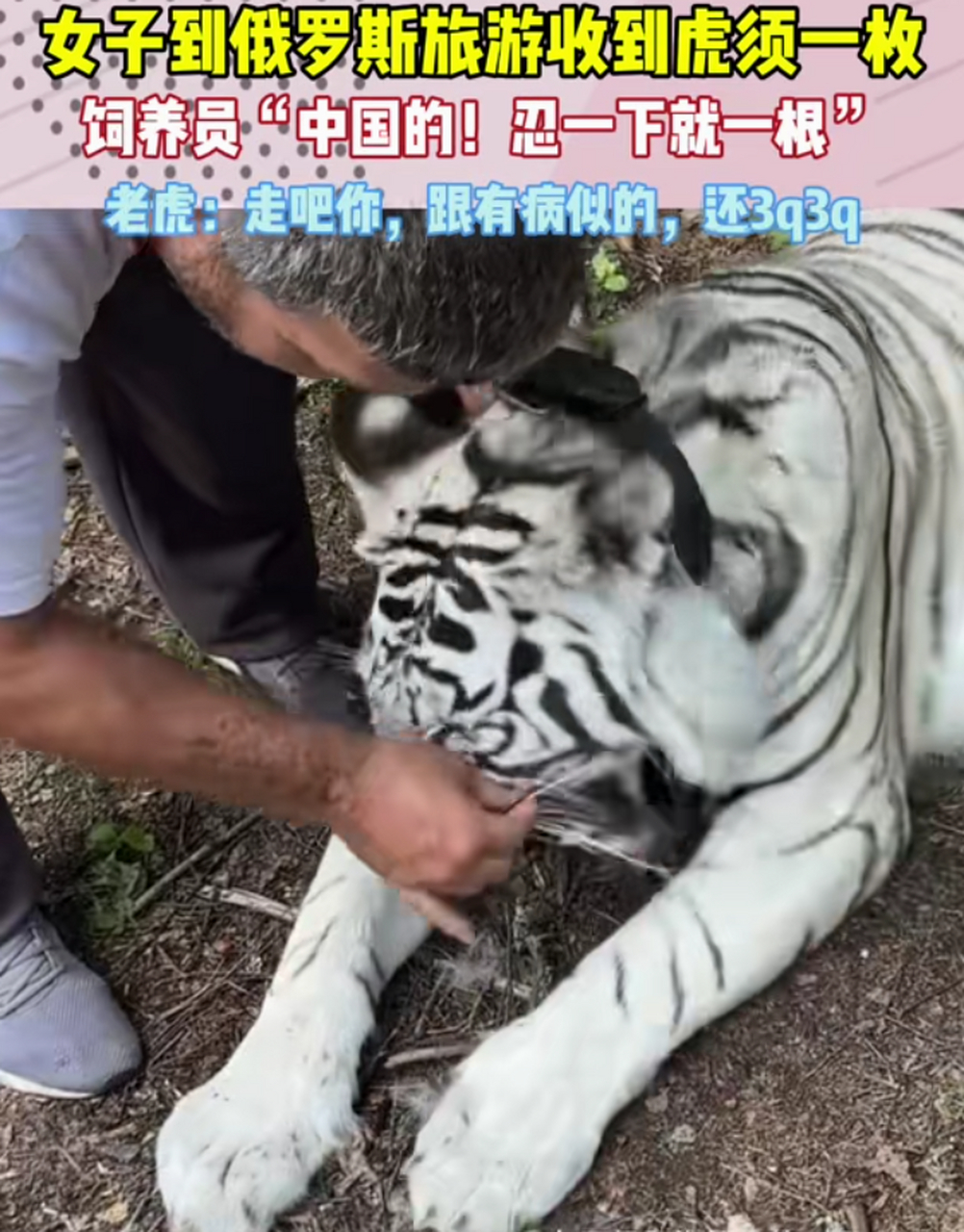 真是好脾气[good][good][good]