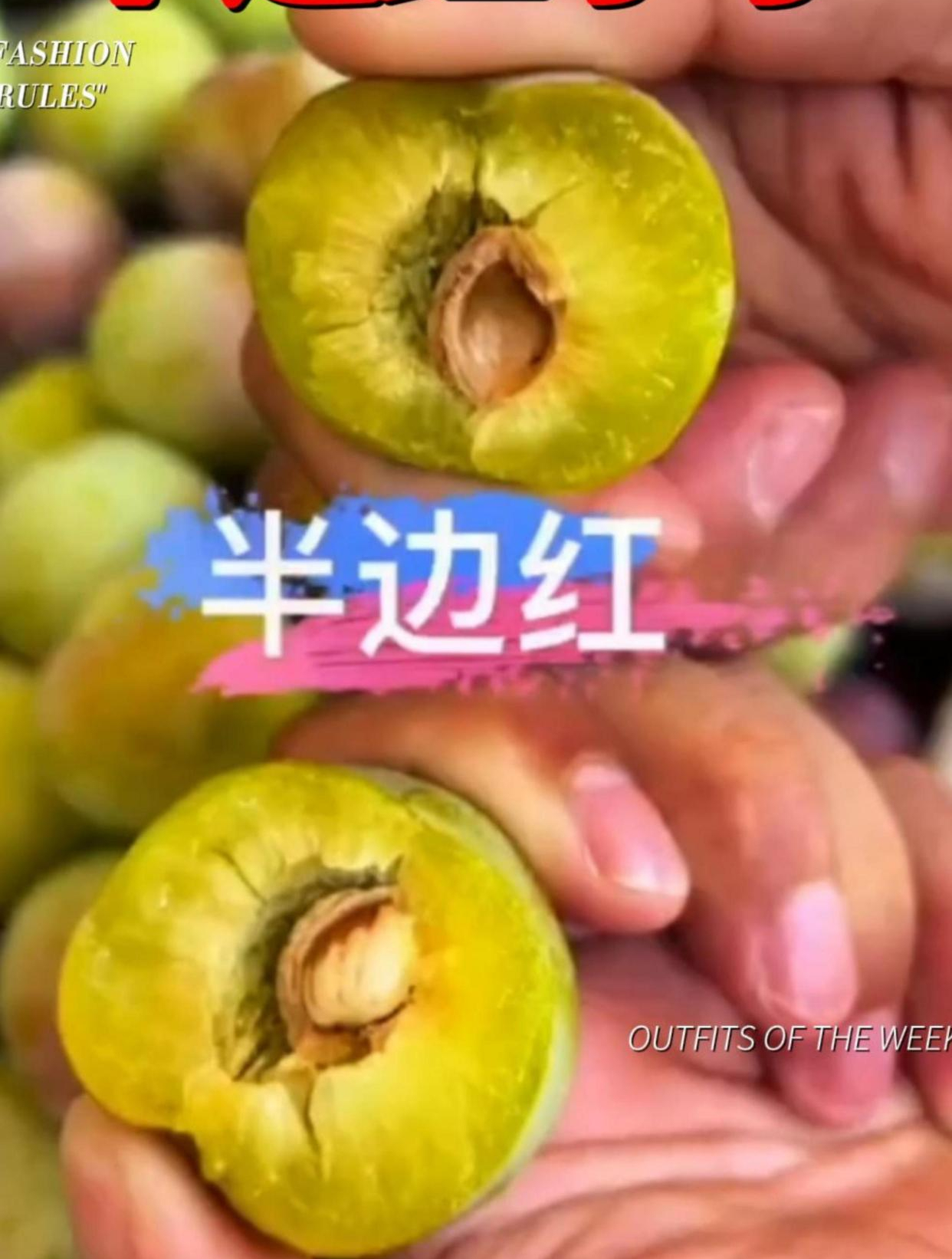 每一颗李子都是果农精挑细选而来,只为让您吃到新鲜果子