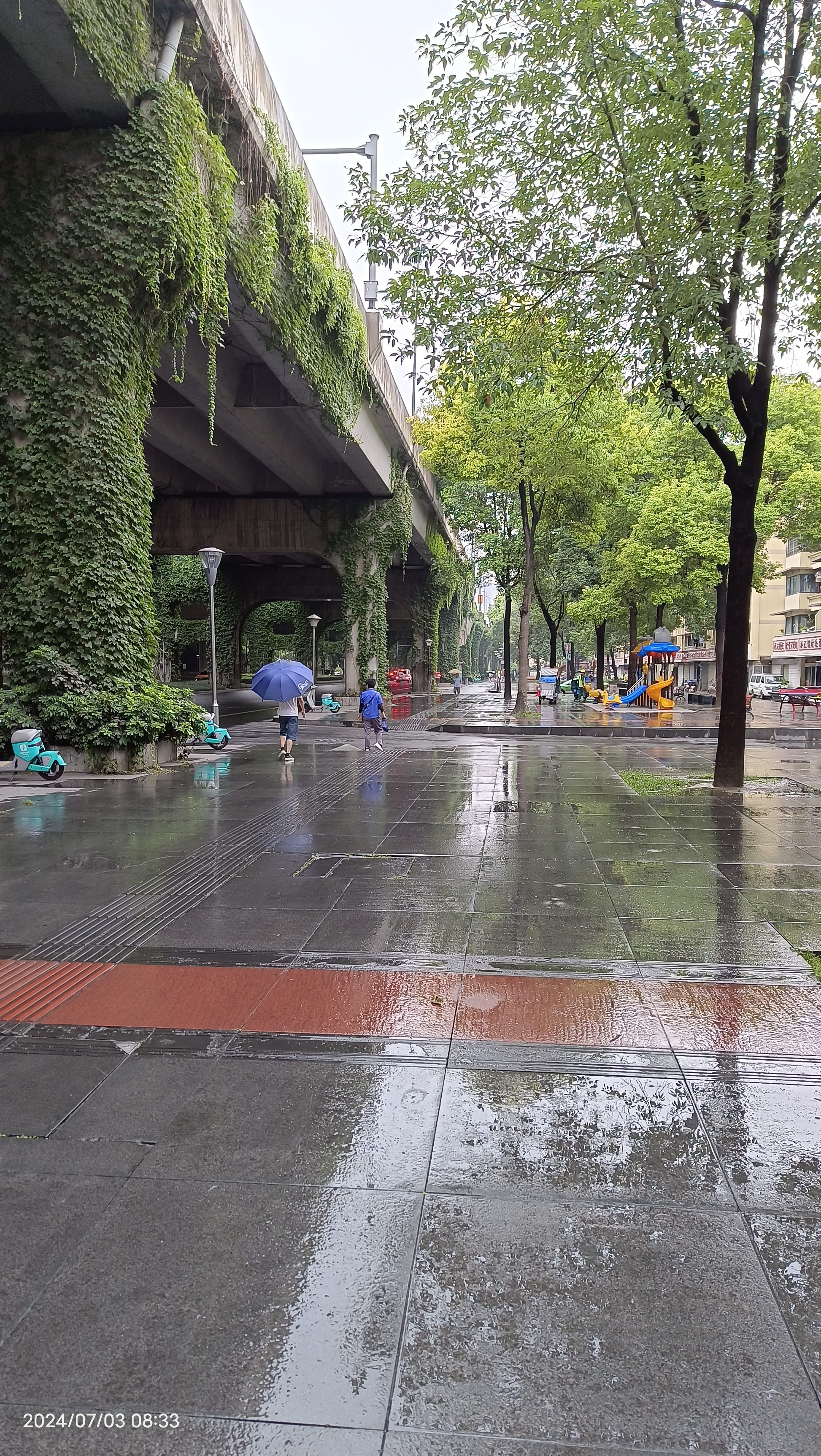 动态夏日征集令# 没想到成都今天雨下了这么久了,既然还是也这么热啊