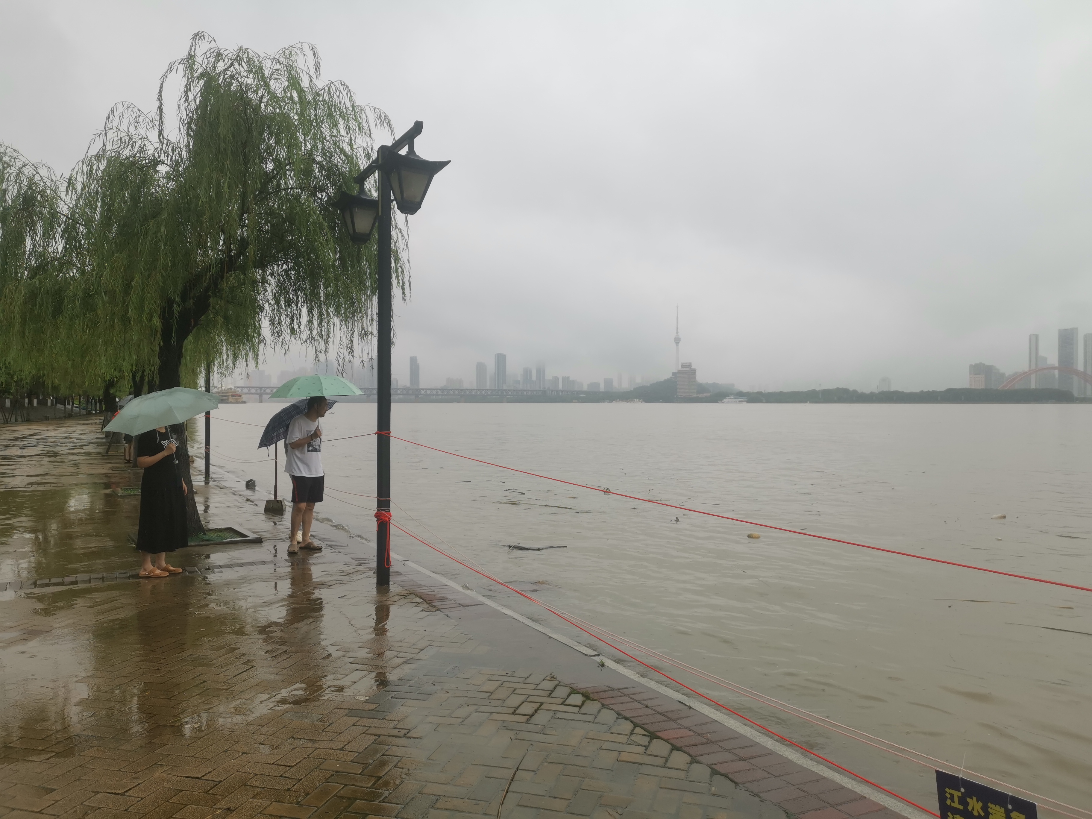 图片横屏江滩漫步的图片雨中武昌江滩汉口江滩 柳树被淹江滩淹水图片