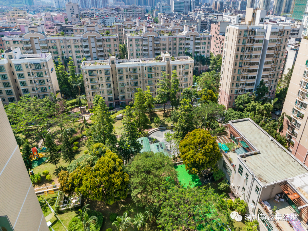 深圳市 罗湖区东晓小学对应楼盘