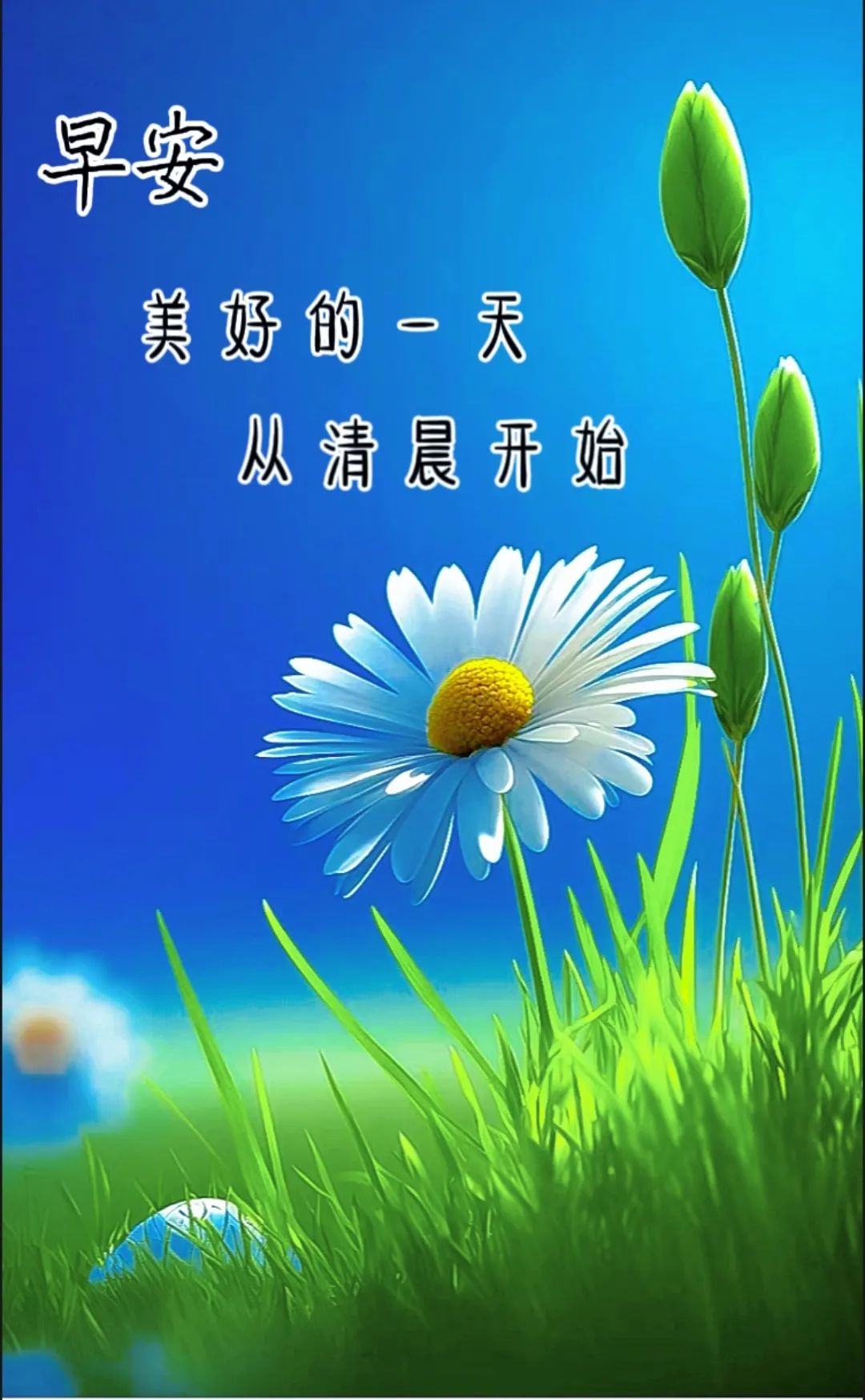 夏日美好温馨的早上好问候语短信,珍惜当下,拥抱明天