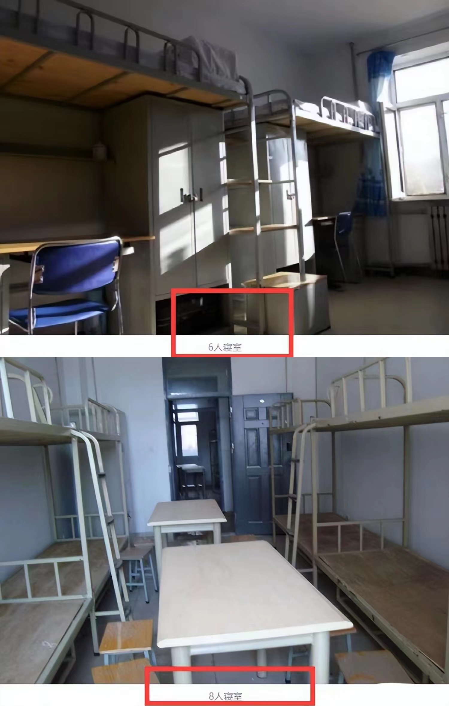 "南医大"宿舍被爆区别对待:留学生单,双人间,国内学生上下铺