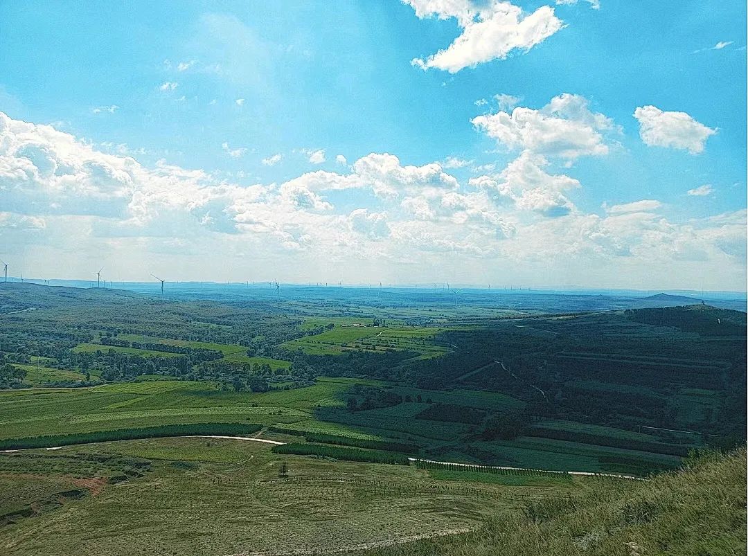 右玉沙棘,产业典范