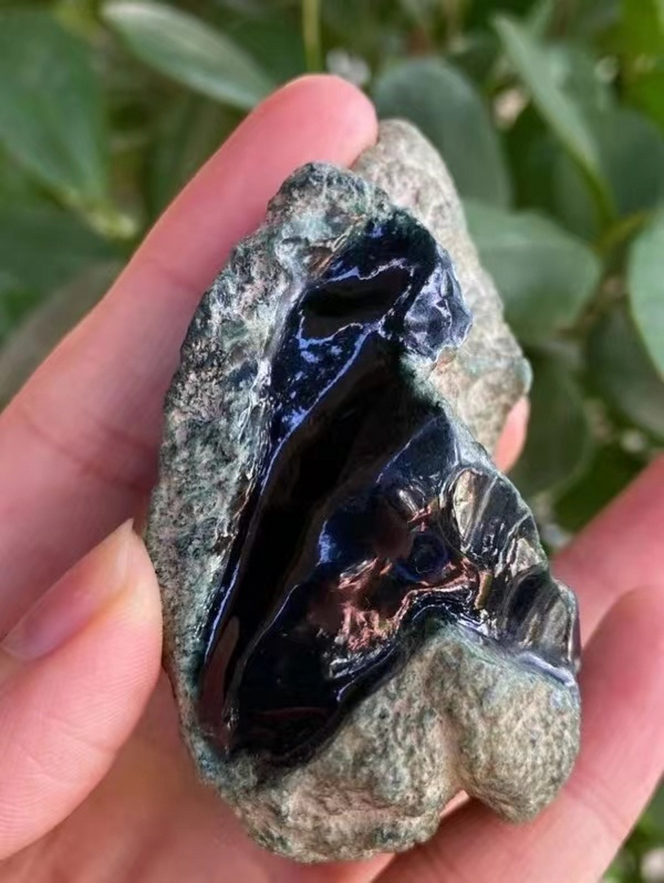 点击头像看直播# 这是一款莫西沙墨翠料子,收藏空间大,大面积开窗没 