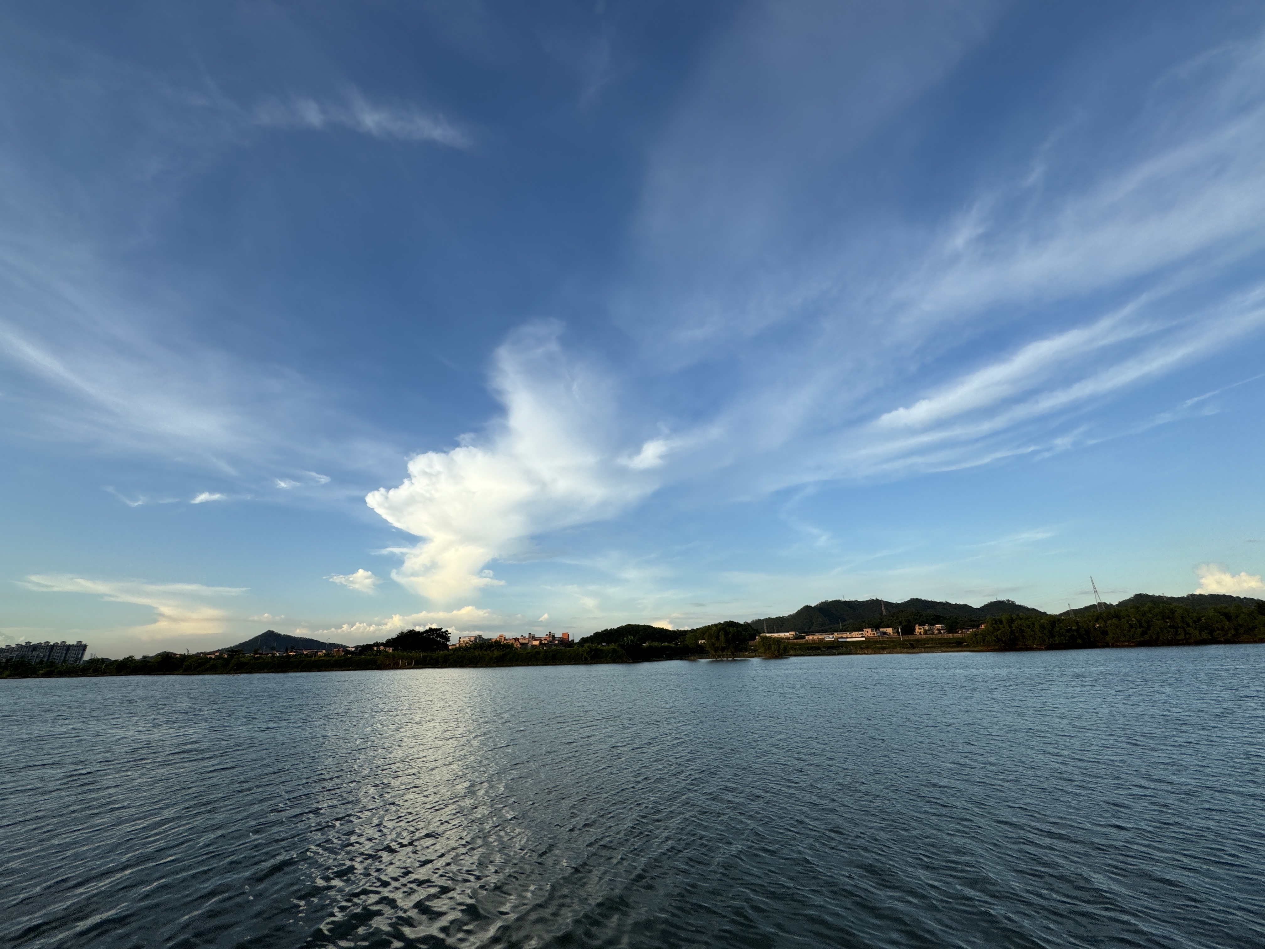 初夏美丽风景