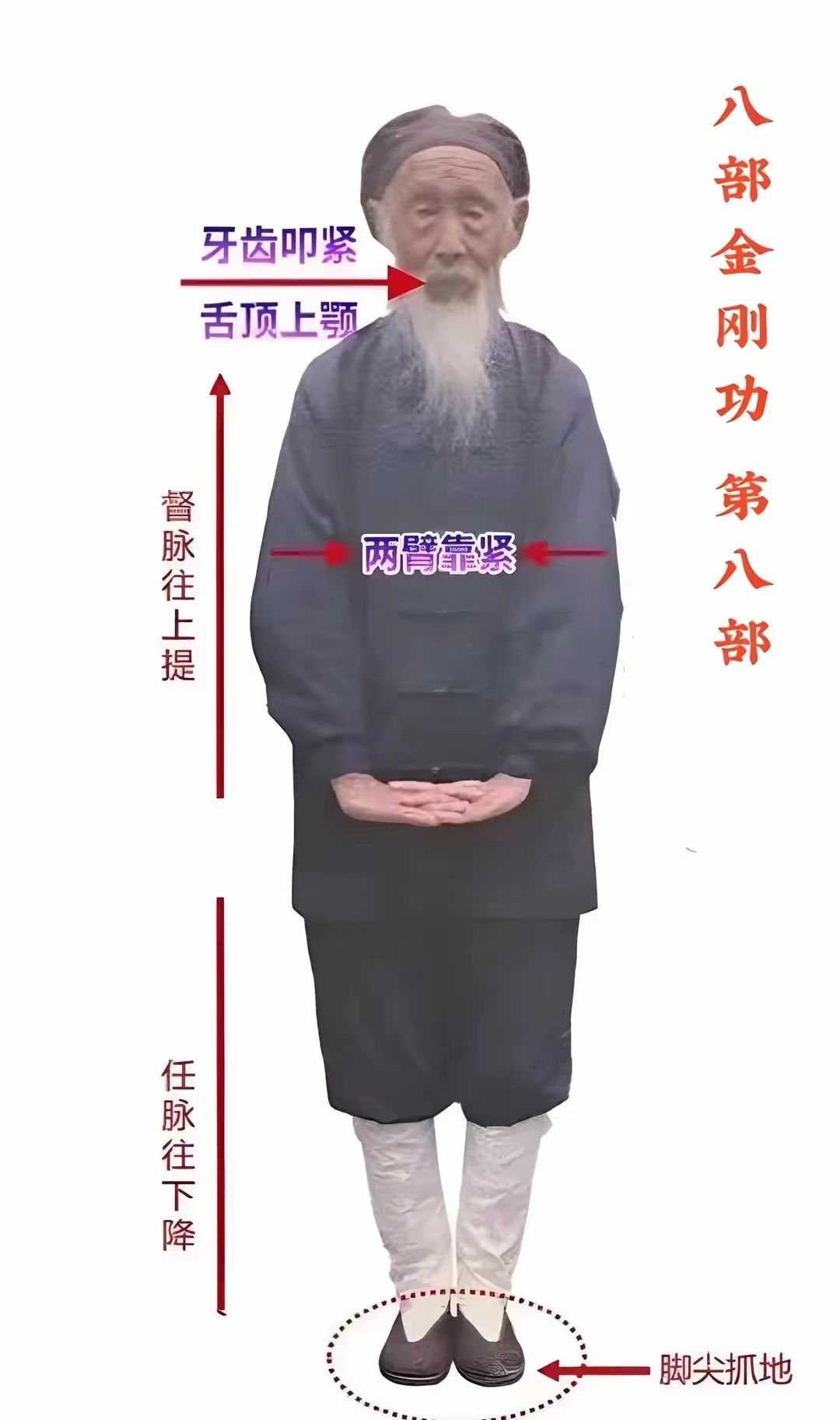 八部金刚功详解