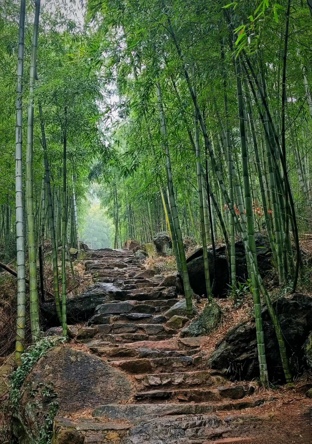 熟悉,源自它"江南第一山"与"中国四大避暑胜地"的美誉;陌生,则是因为