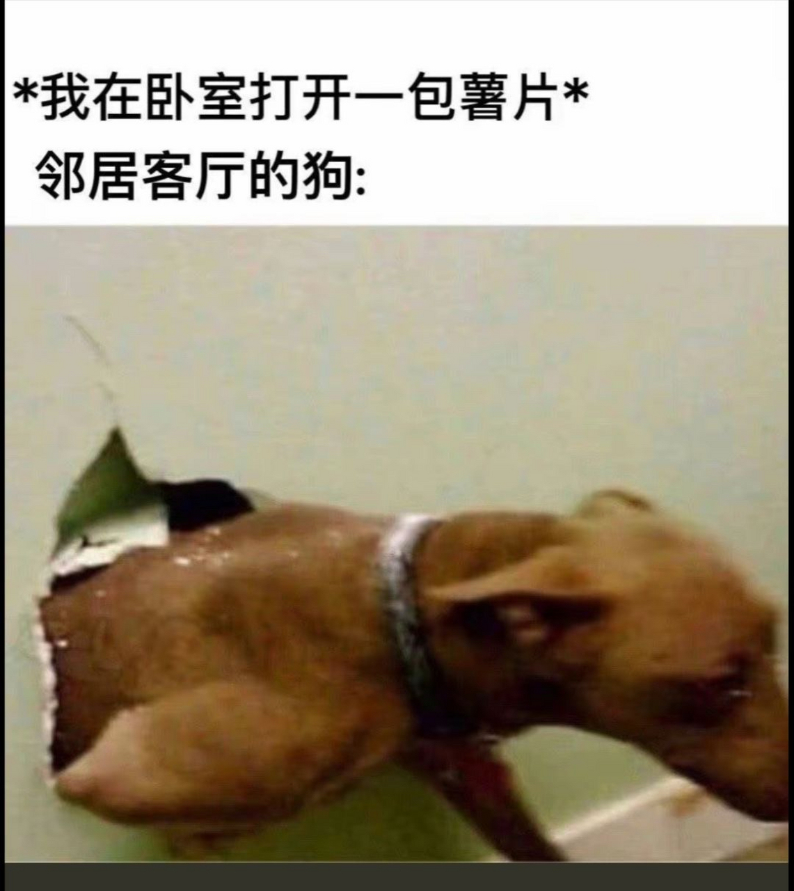 捂脸壁纸图片