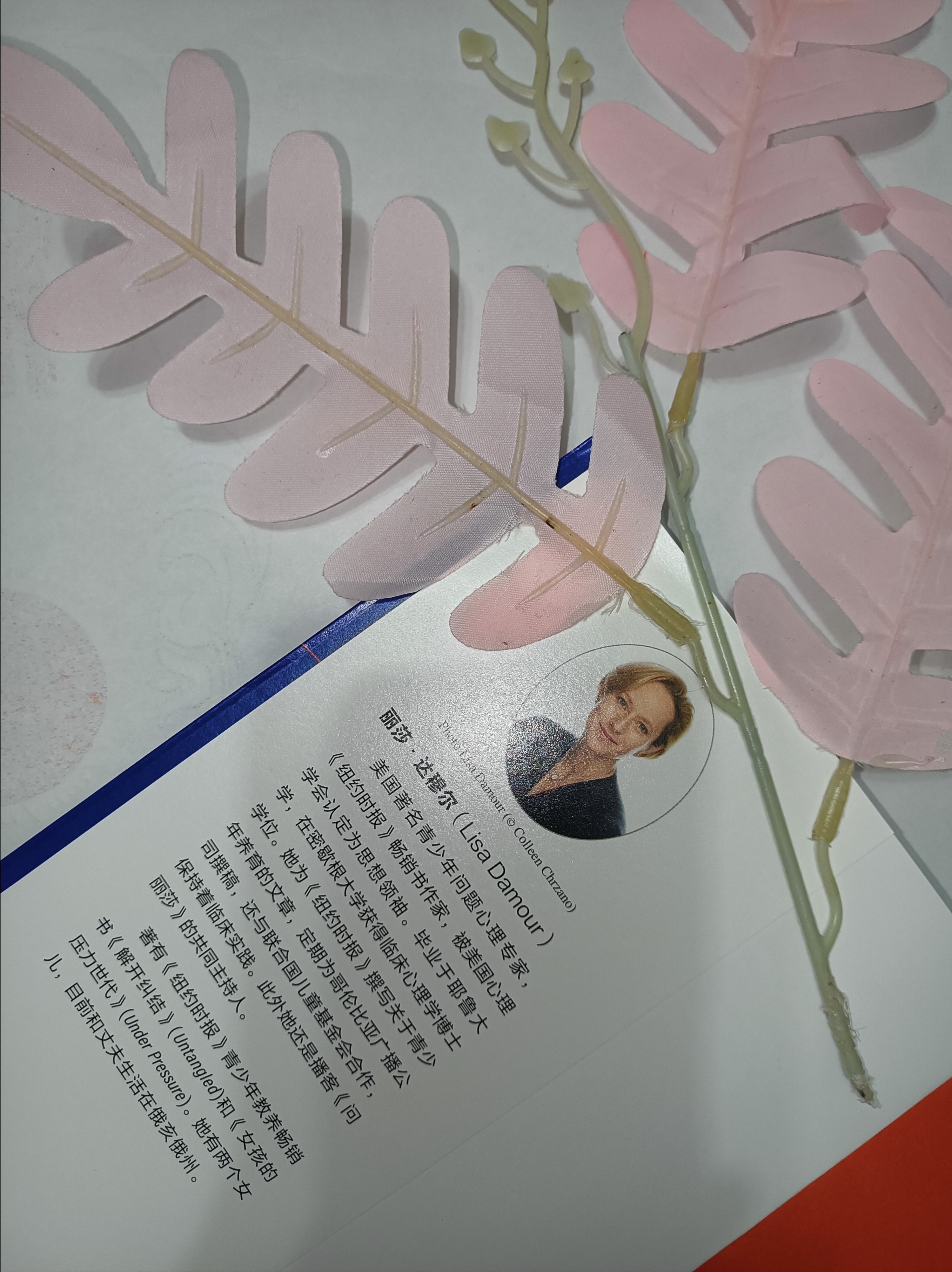 有人说,"青春是一段绚烂的旅程",然而,当中也夹杂着迷茫和不知所措