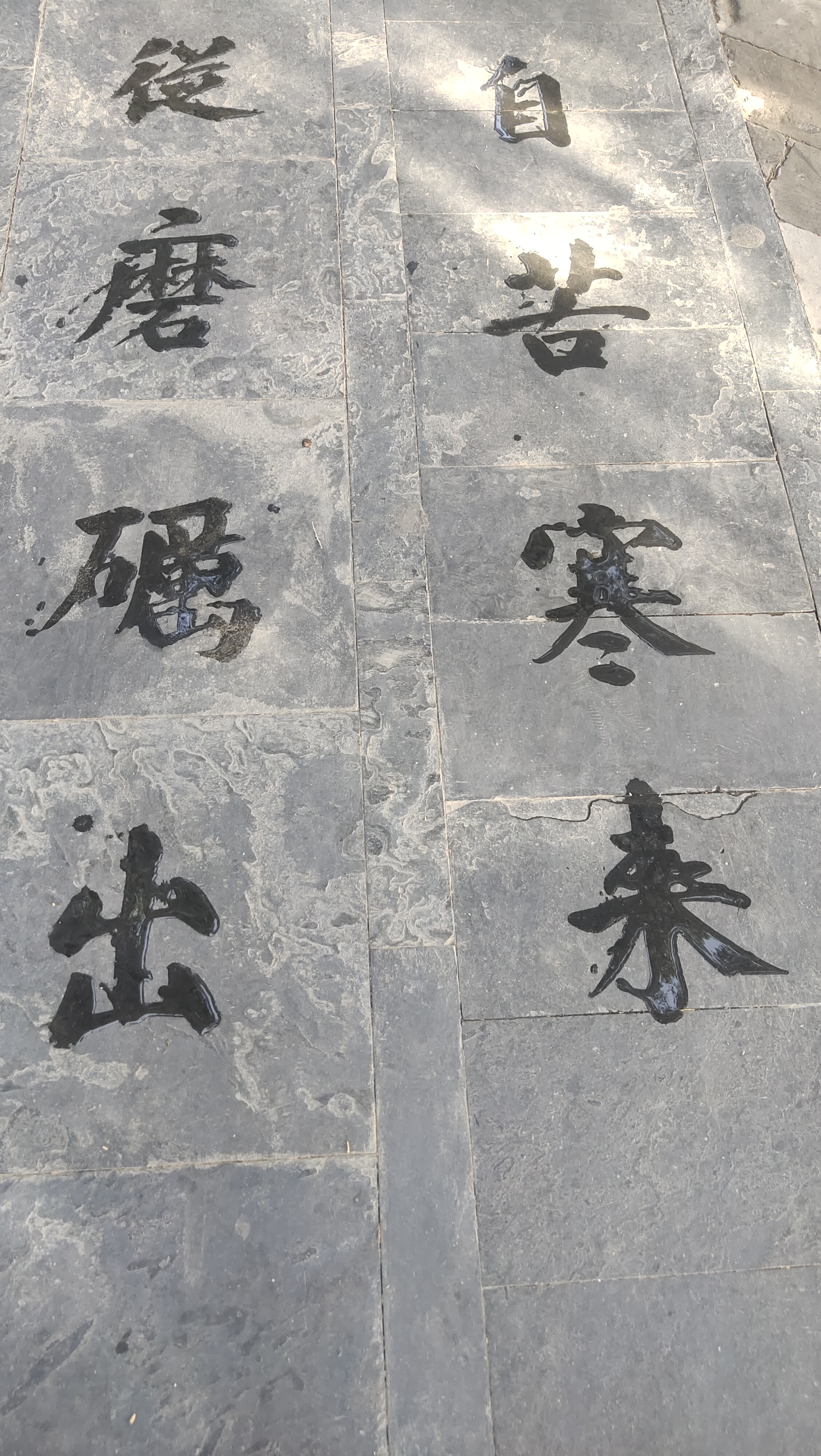 在颐和园遇见田老师