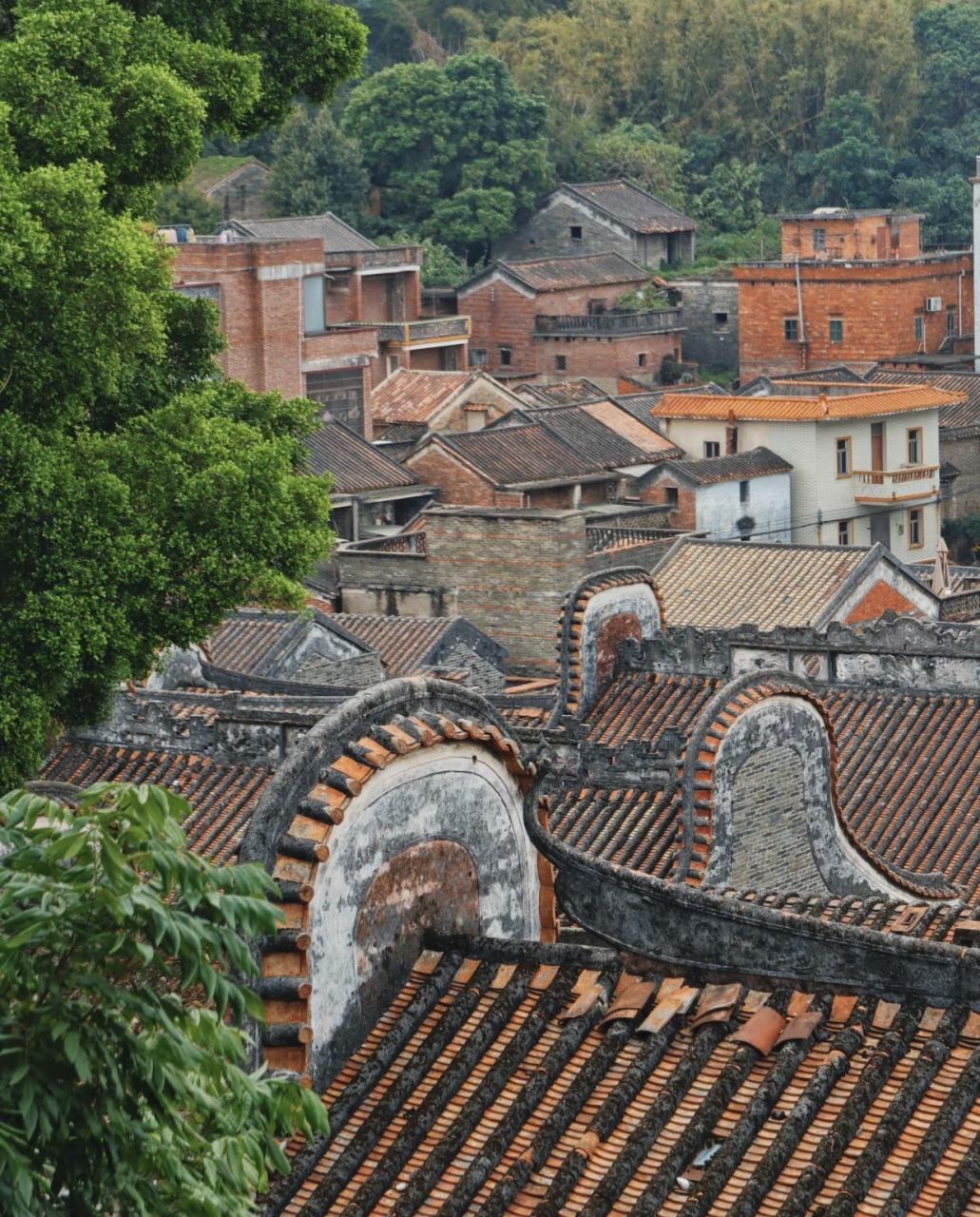 佛山沥水镇图片