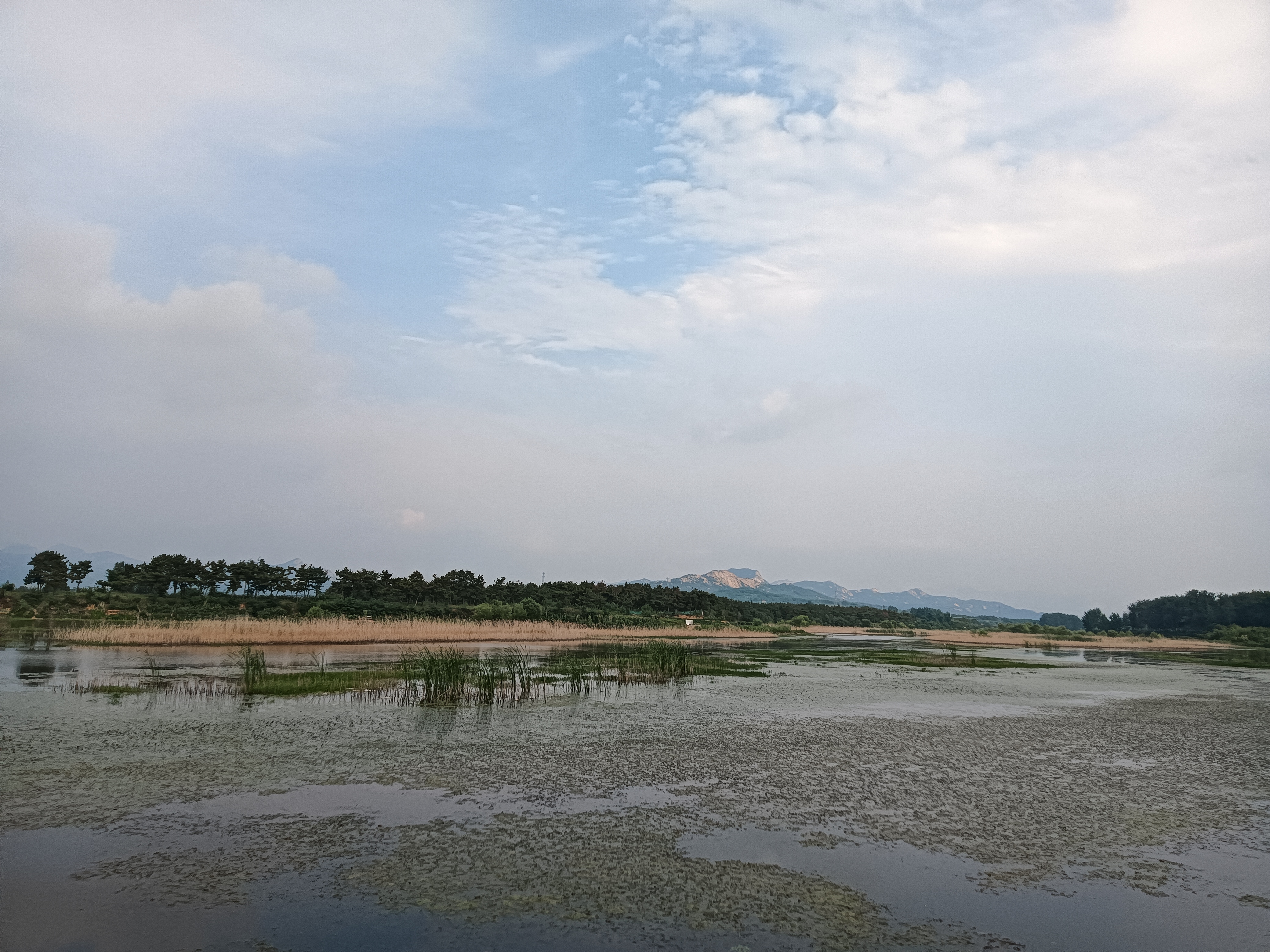 家里没水的心情图片图片