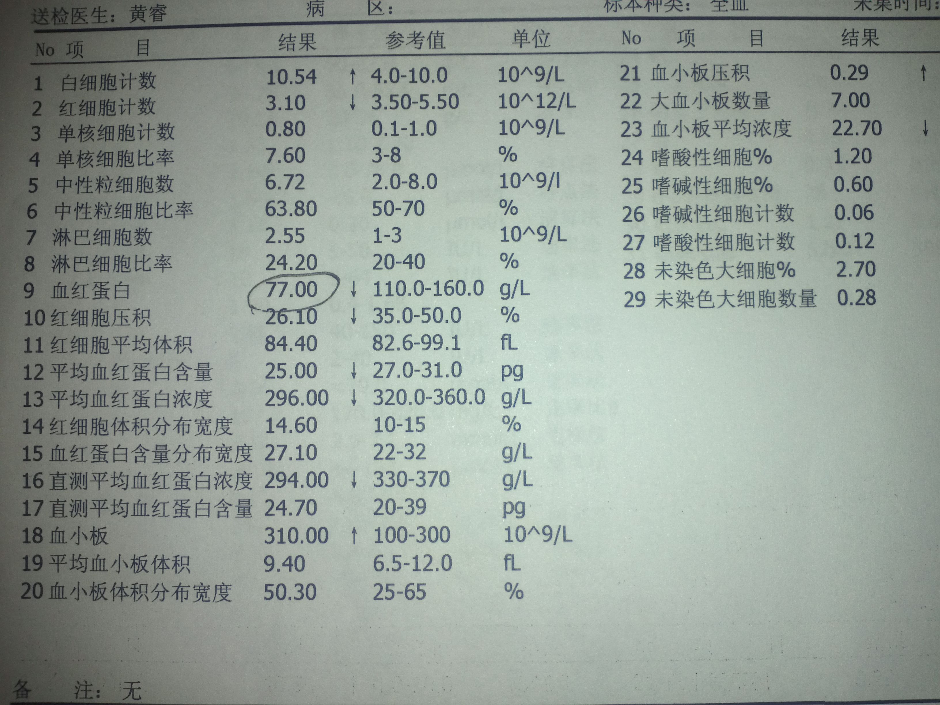 正常人的血常规化验单图片