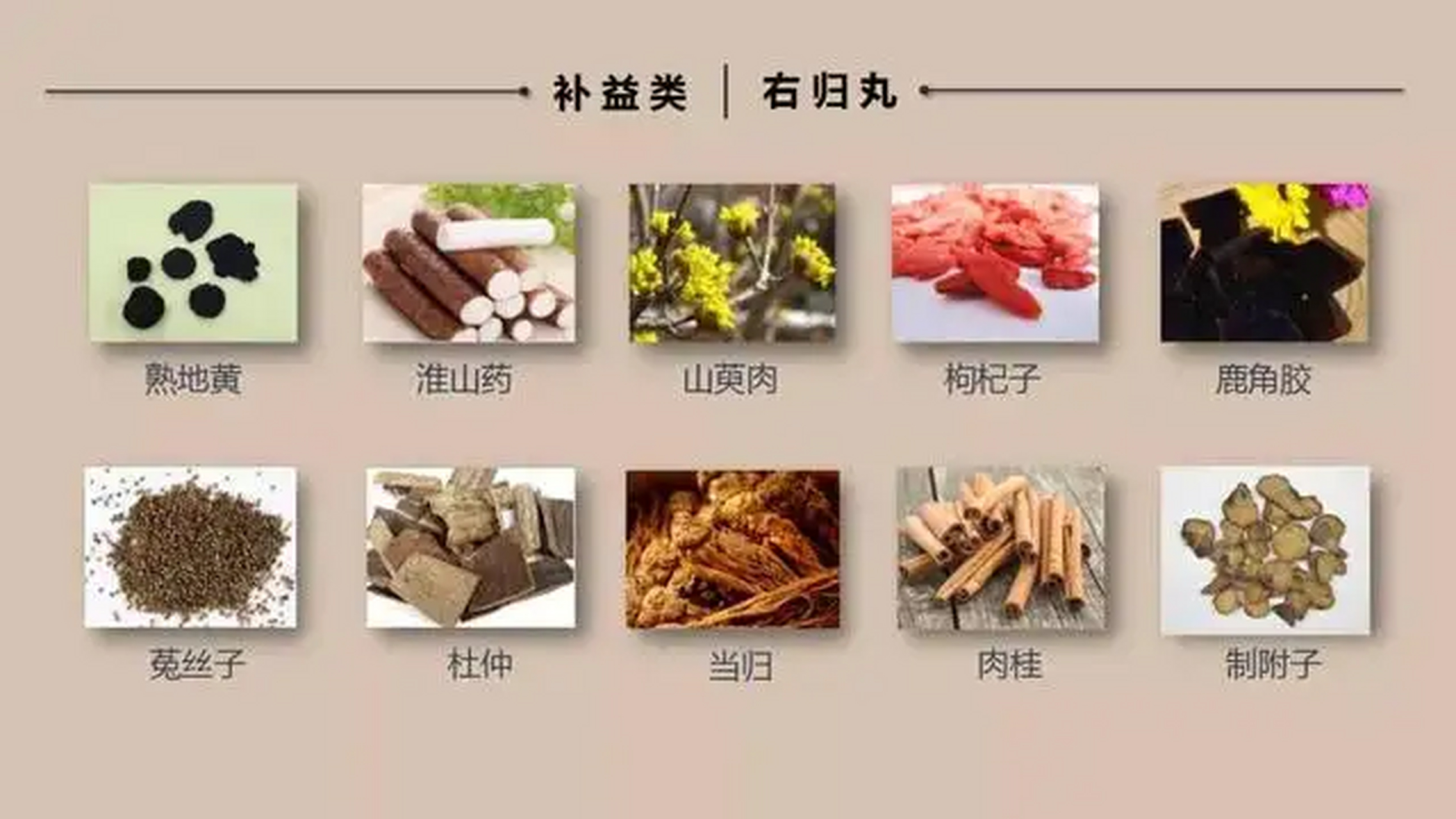 右归丸成分图片