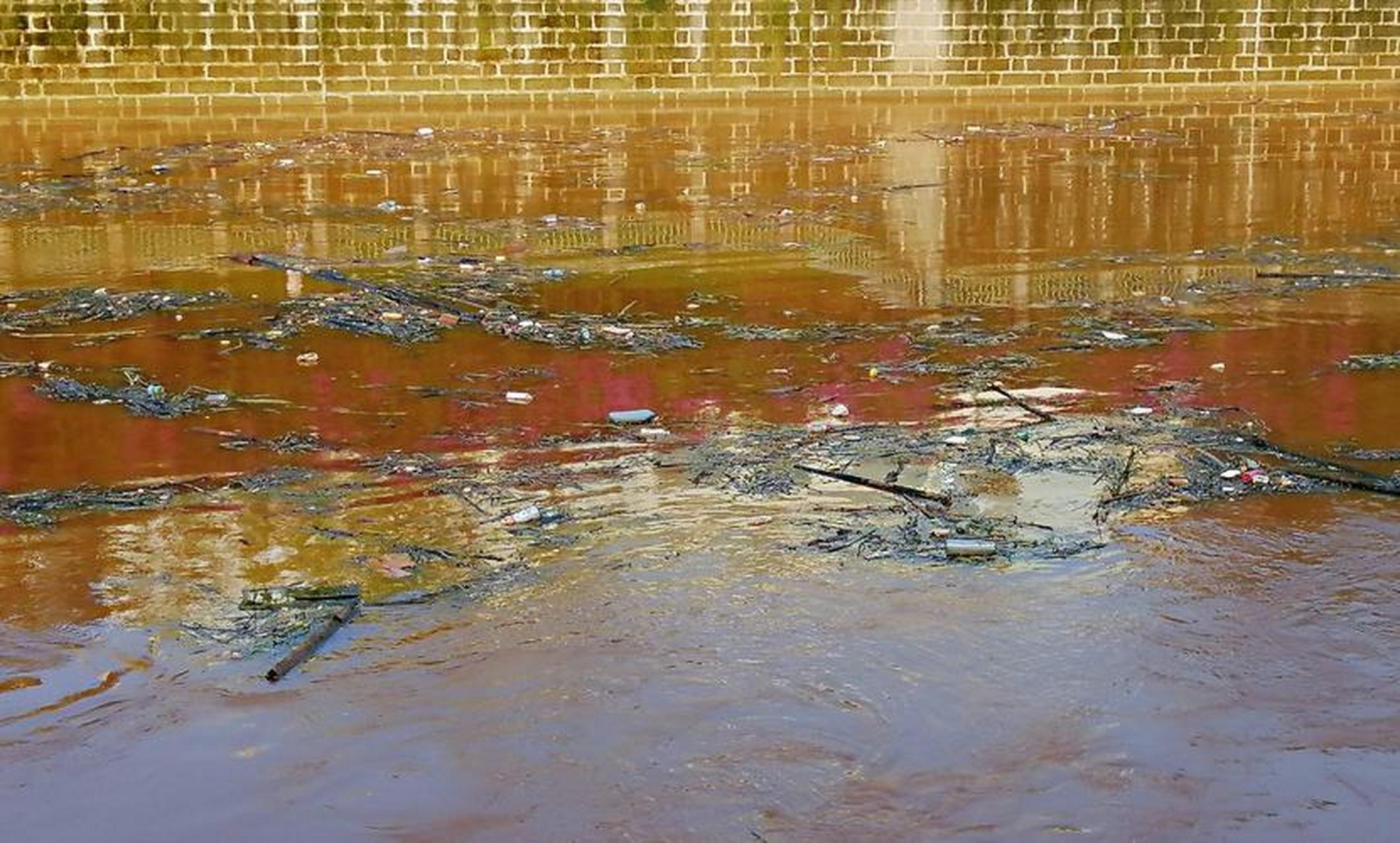 在洪水退去后的河流中,塑料瓶,塑料袋,木材,树枝等各种垃圾随处可见.