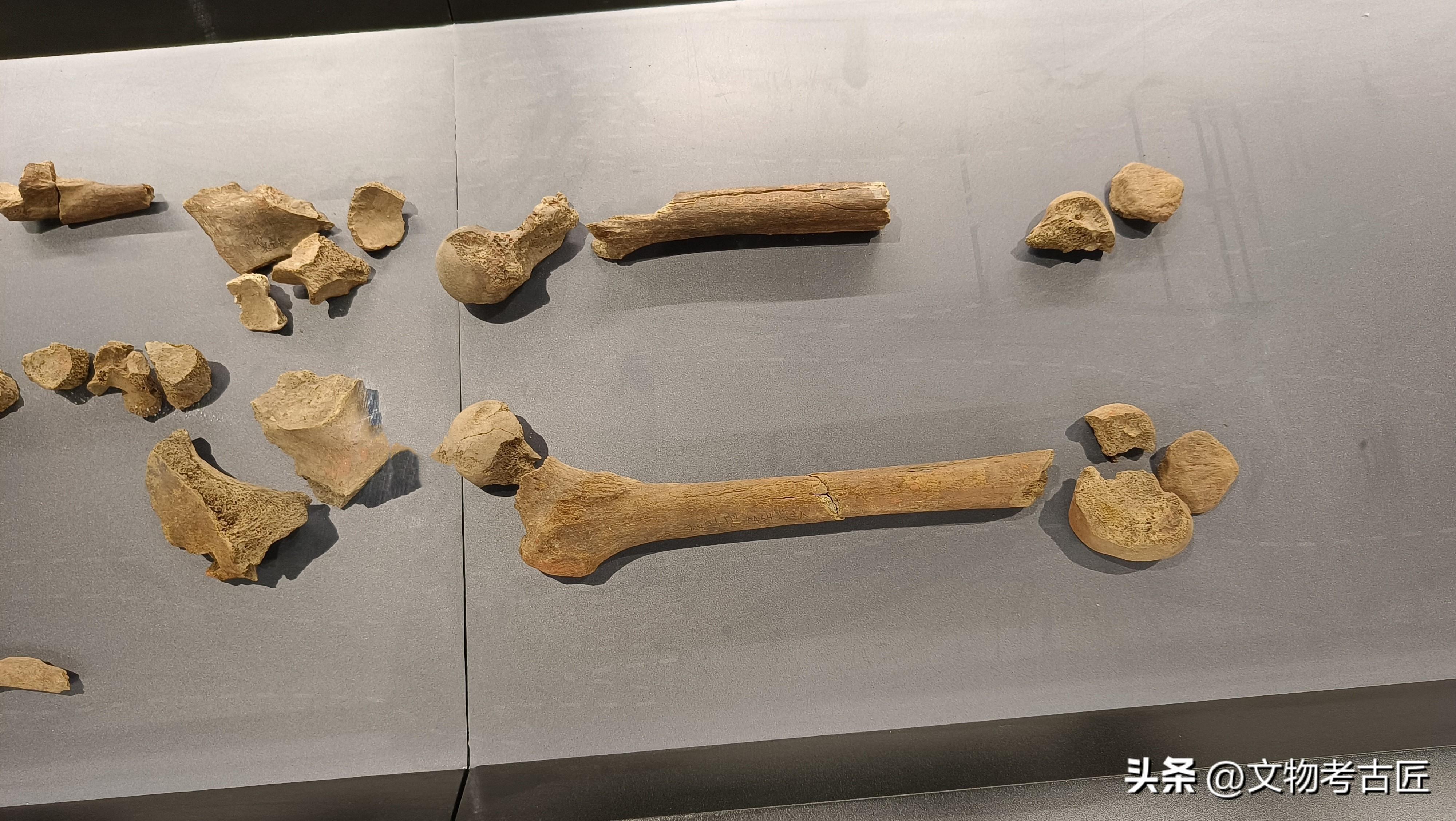 没想到这座三千多年前商代的"亚长墓"竟然有这么多的秘密