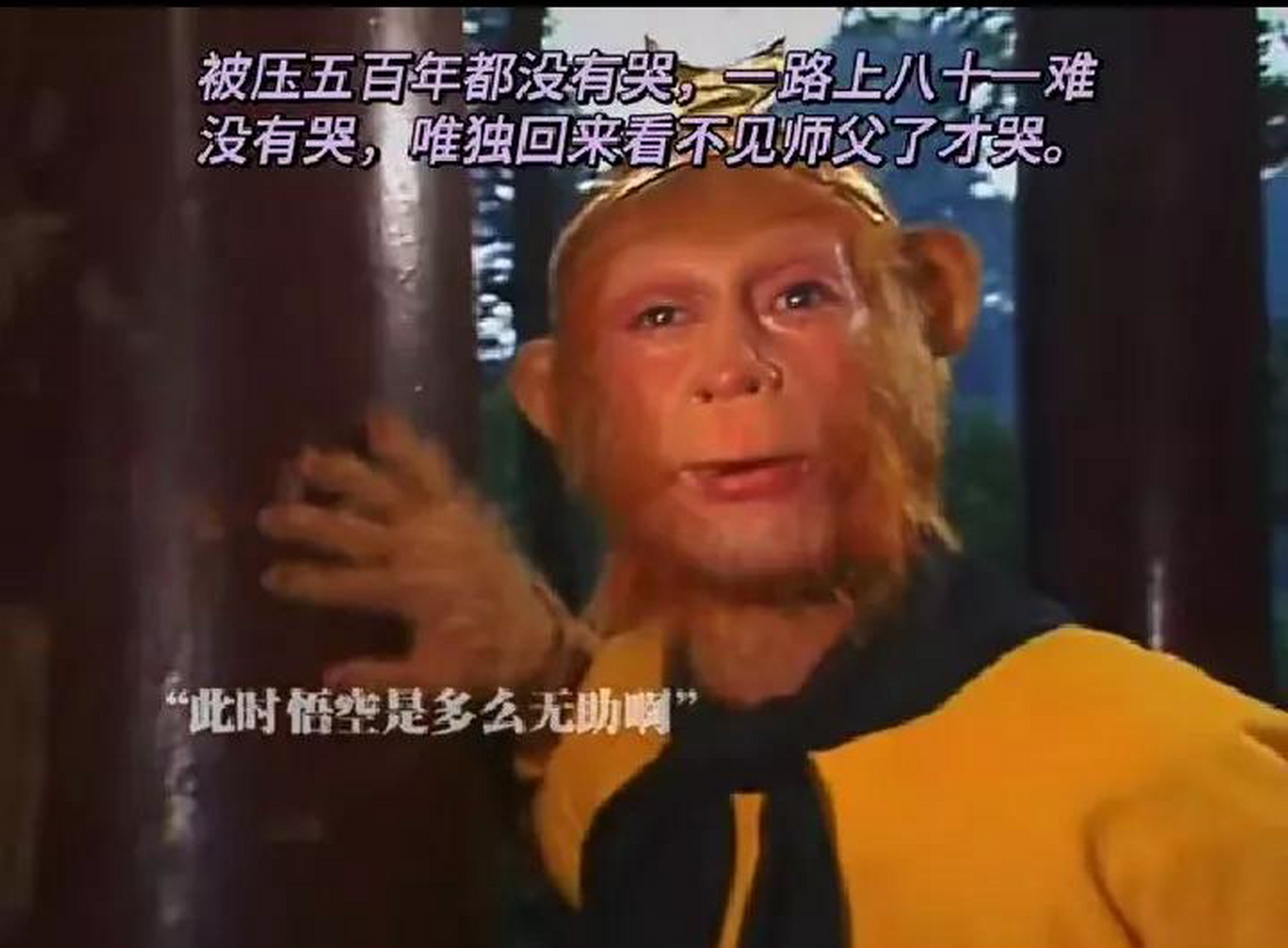 一日为师终身为父,孙悟空在整部西游记中只有两次流泪,一次是被菩提