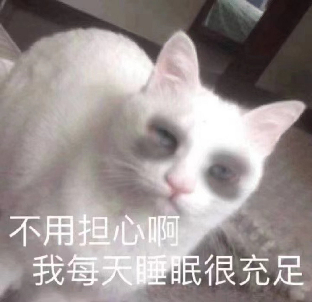 6点睡 9点起 阎王夸我好身体