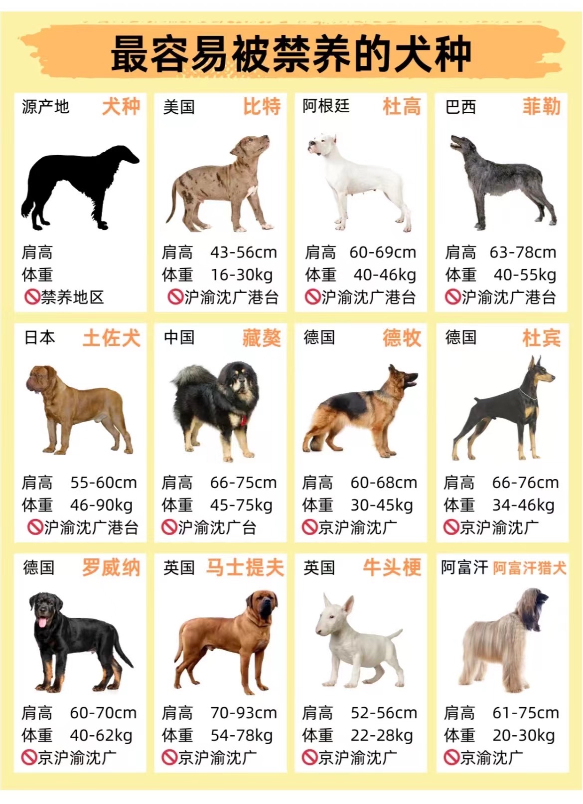 最容易被禁养的犬种
