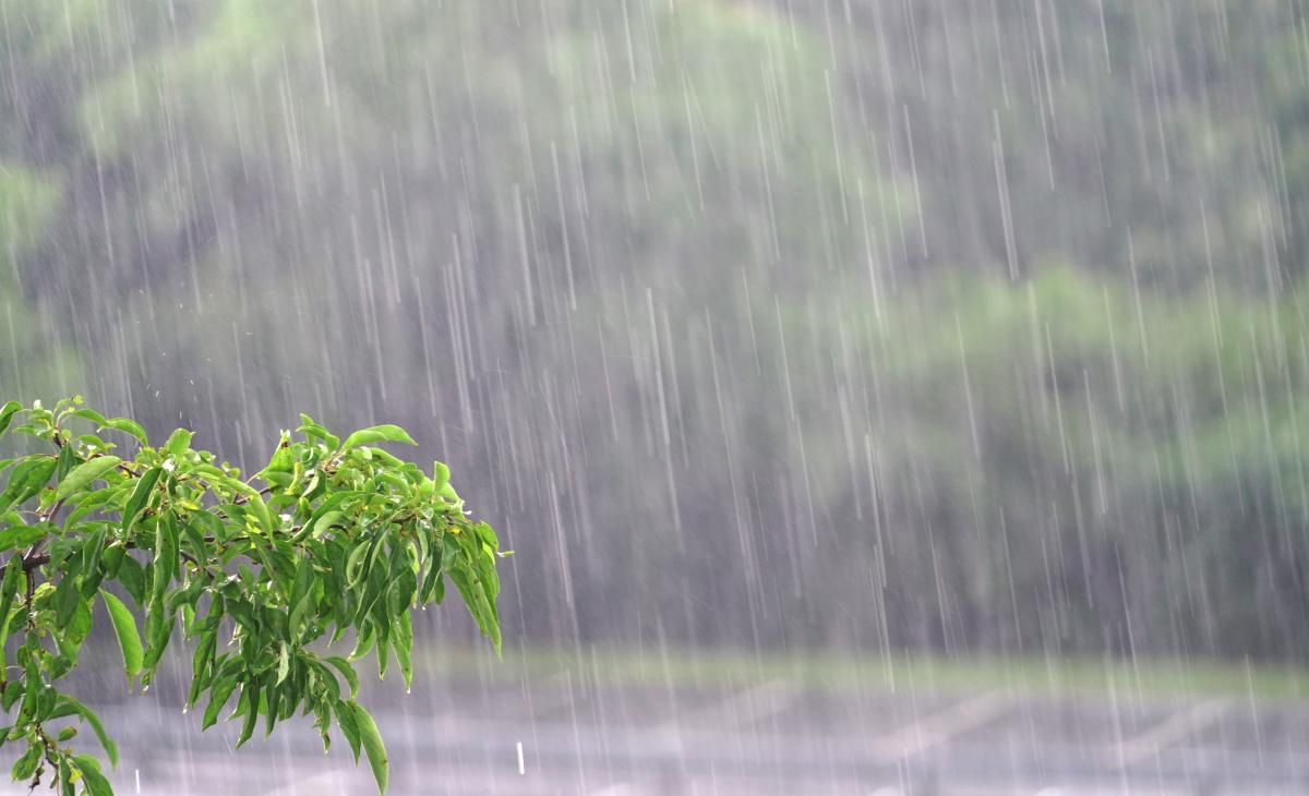 夏季下雨图片真实图片