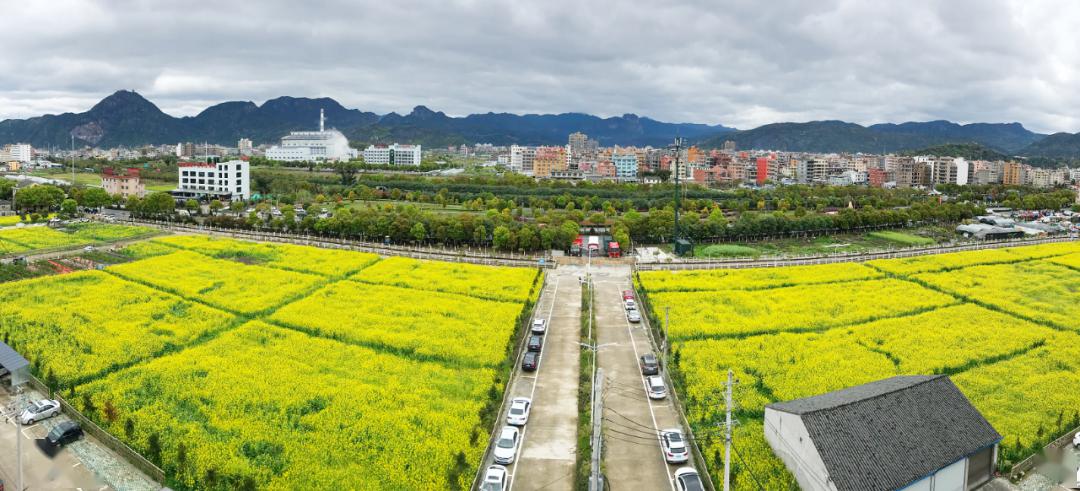 中国百强镇揭晓!温州柳市镇仅排第14,浙江省共入围10个