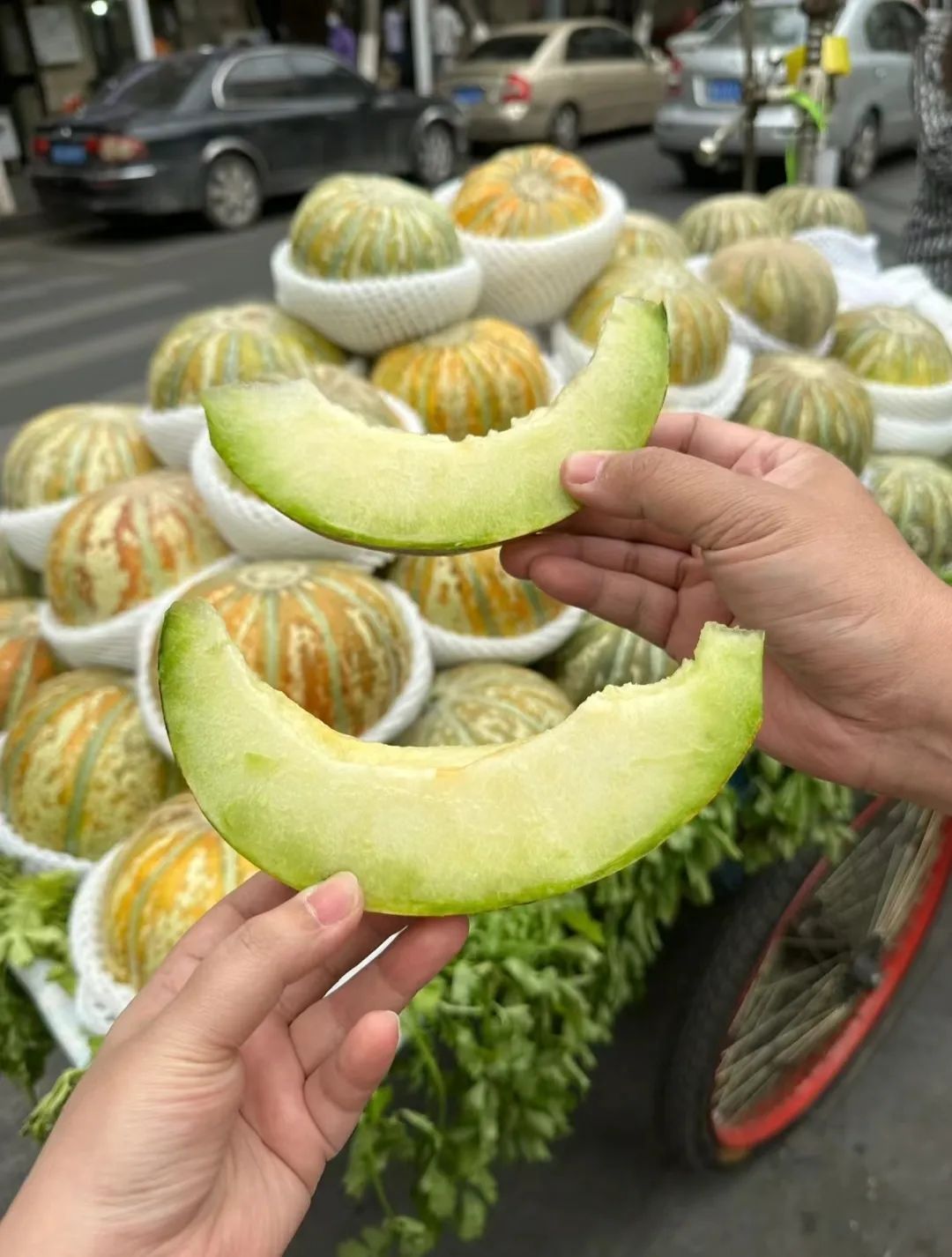 新疆沙漠里缺的水,原来都在这瓜里了