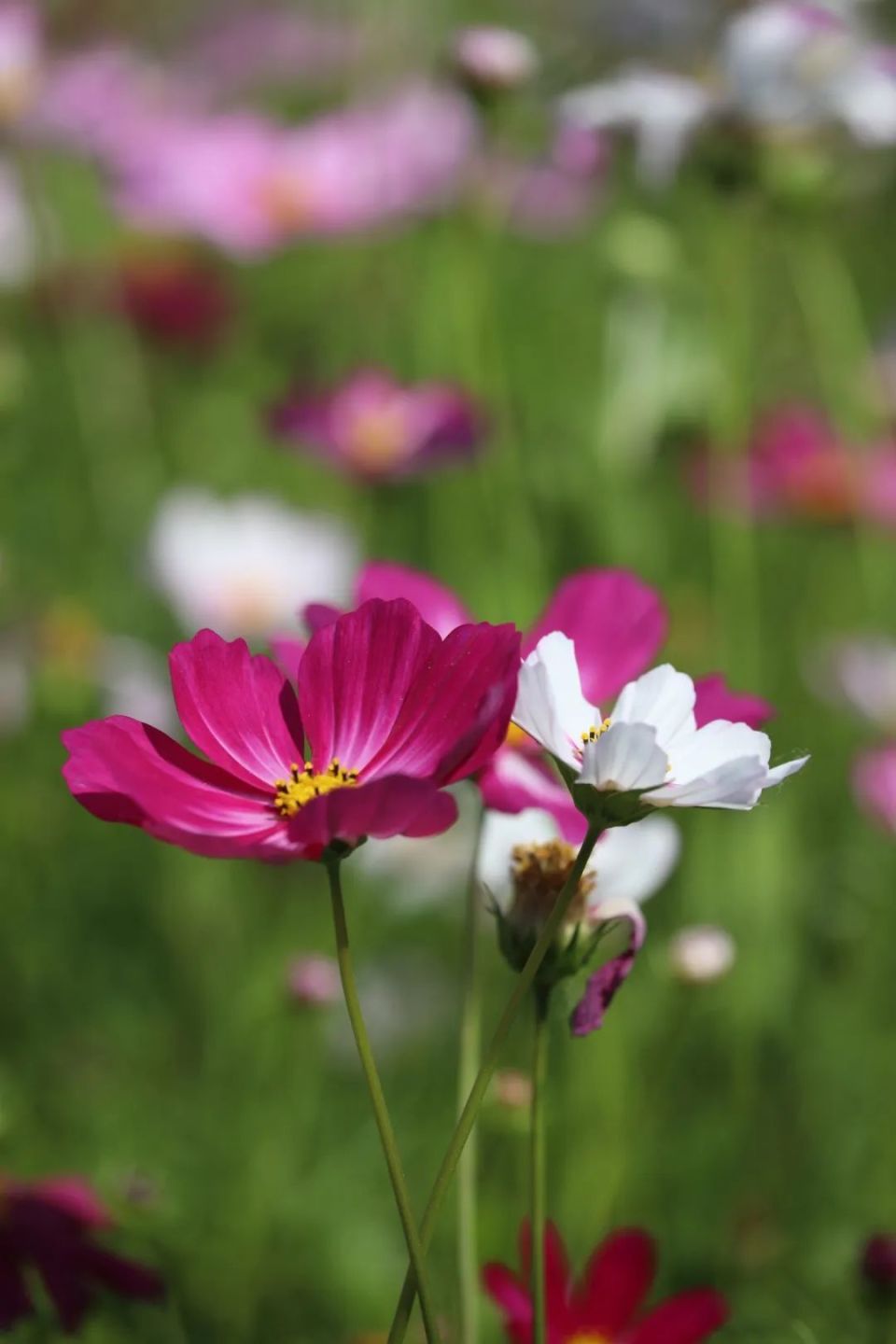 方法好,落实到位最重要