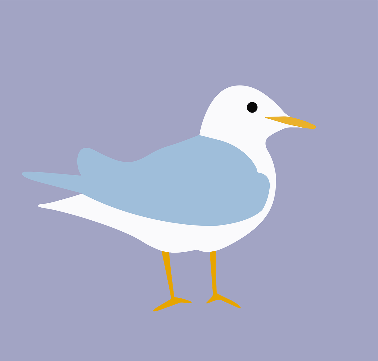 1,对你有"潜在风险"的忙不能帮 我有个朋友