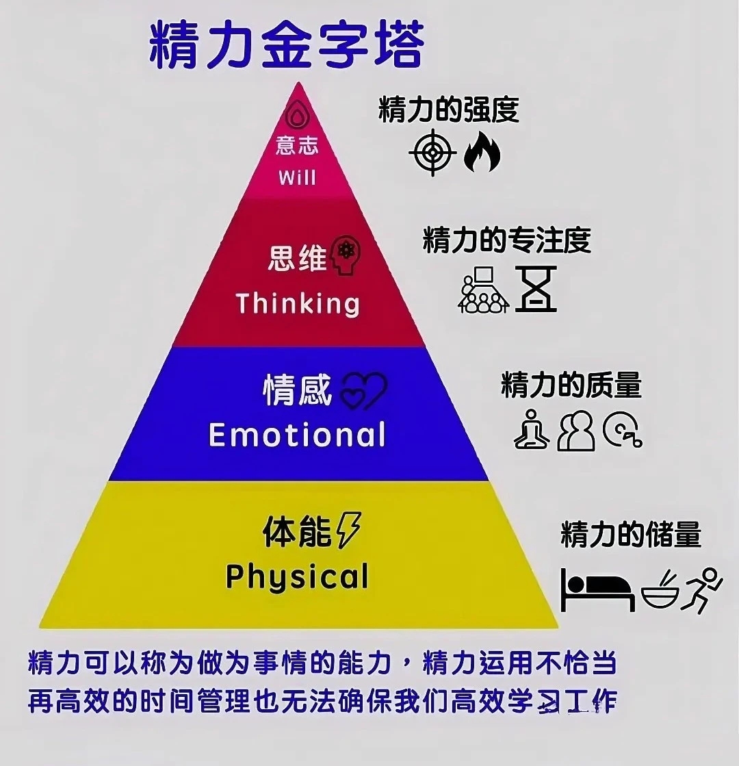 金字塔标志的组织图片