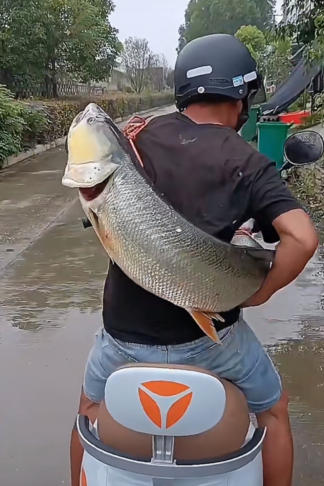 这人太邪门了,回家的路都会找不到,同一个地方我
