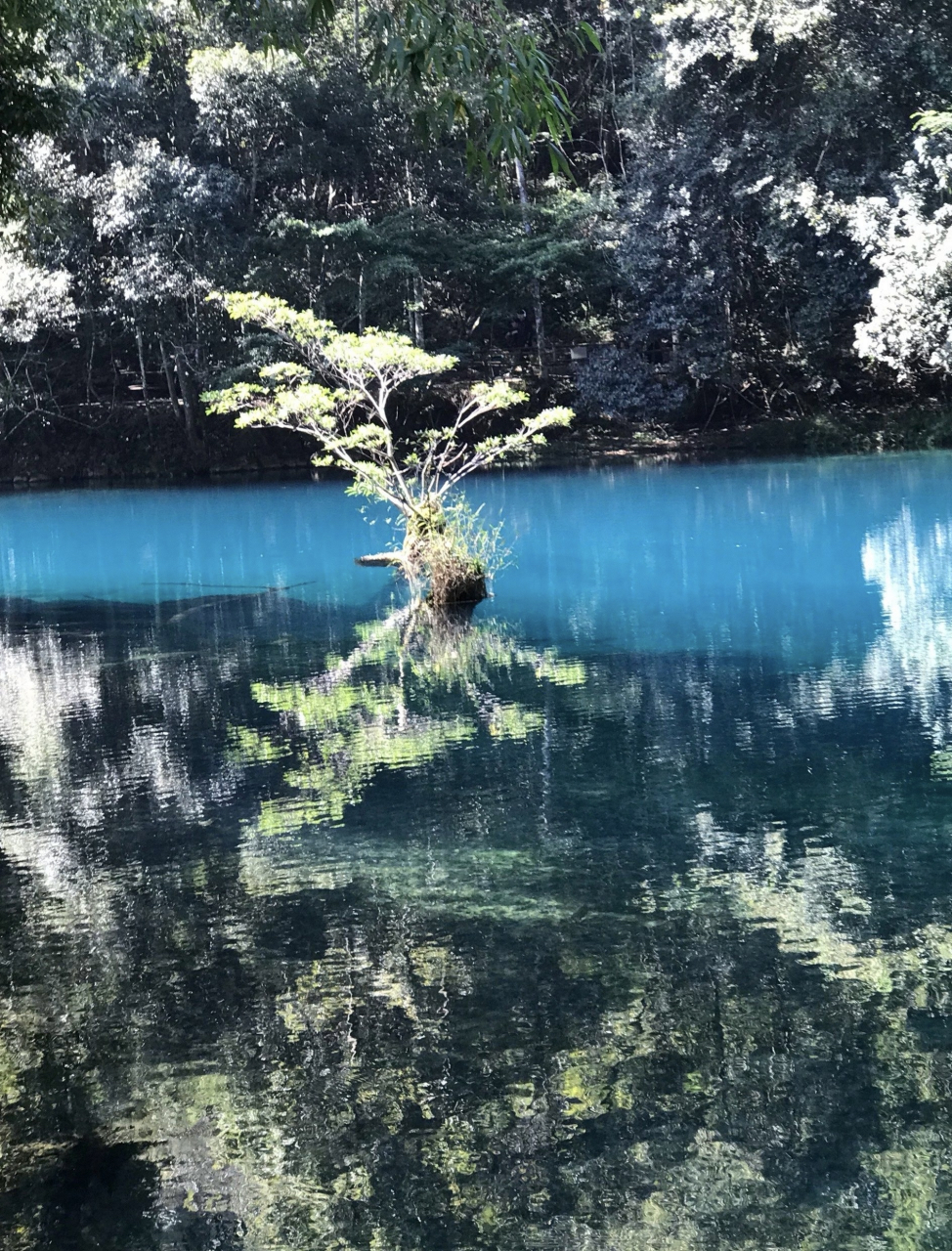 人间仙境之卧龙潭,举世无双旅游胜地  卧龙潭位于小七孔景区的西端,是
