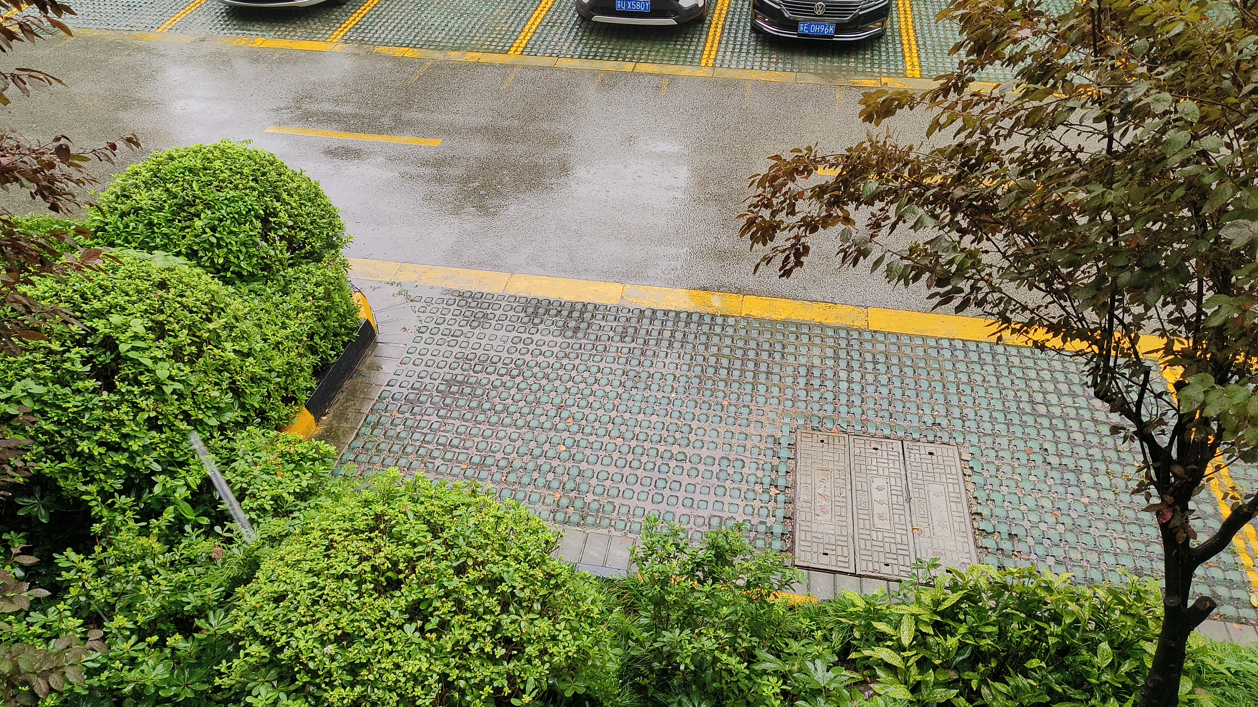 推开窗户,又是一个阴雨连绵的天气,说实在的,很