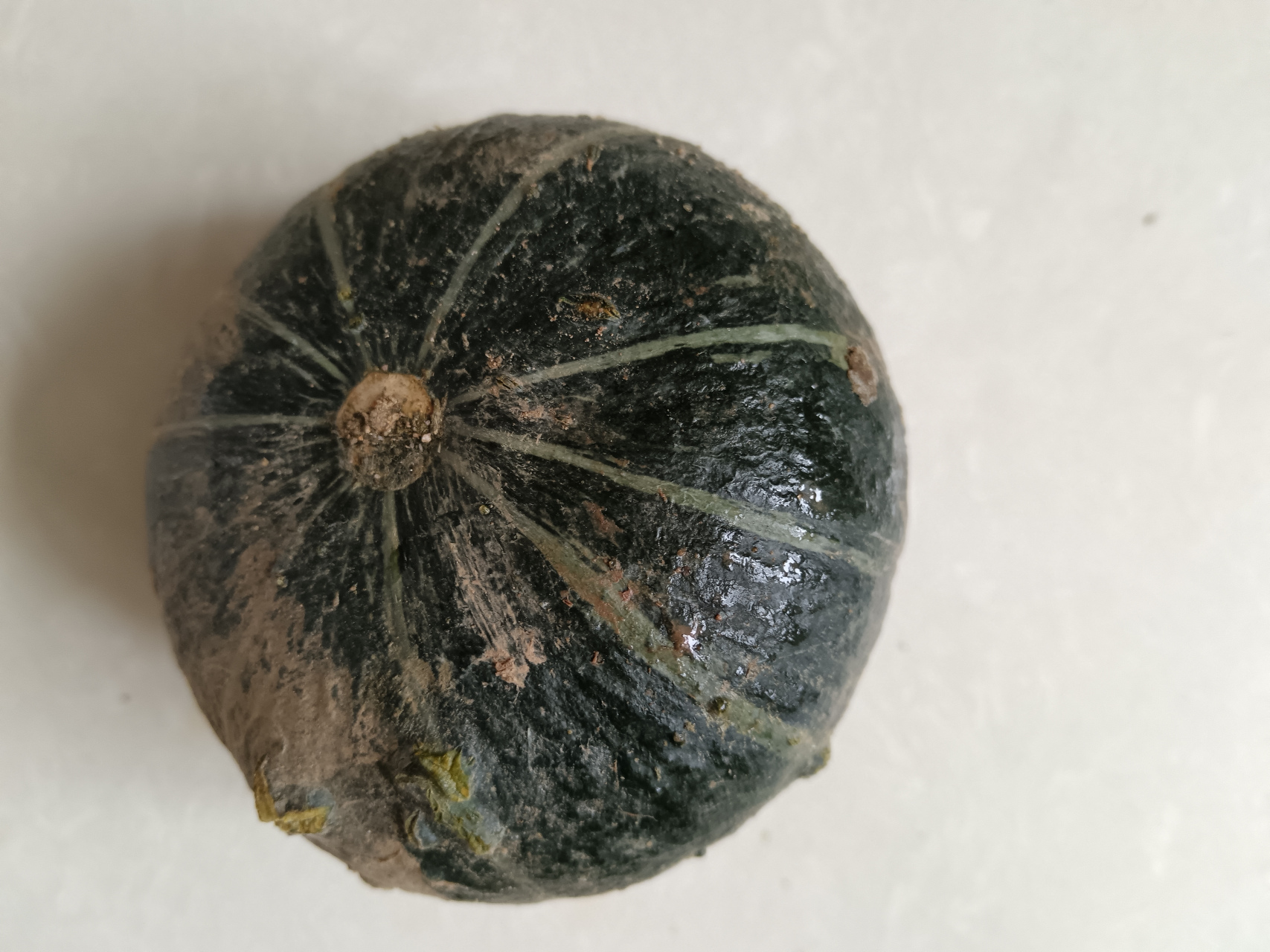 下图的瓜,有长的,有圆的.俺们这里通通叫它们"方瓜".