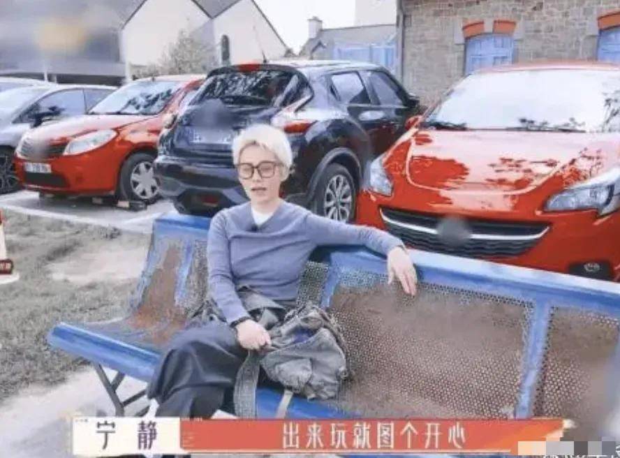 宁静各种作大翻车?唱歌被嘲像猪猪侠,曾趴在张国立腿上谄笑