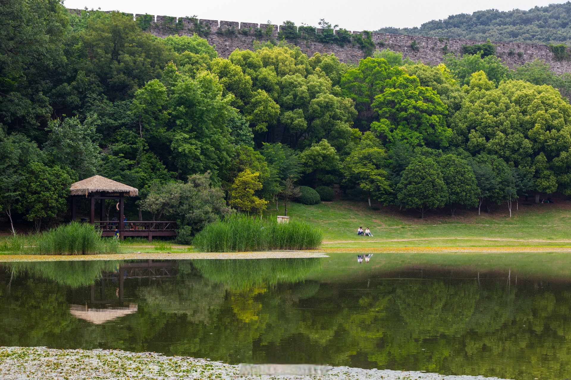 沉醉南京湖畔:琵琶,玄武,百家,象山的四重奏