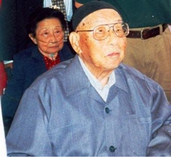 "小诸葛"杨宇霆,为何最后落得个被张学良处死的下场?