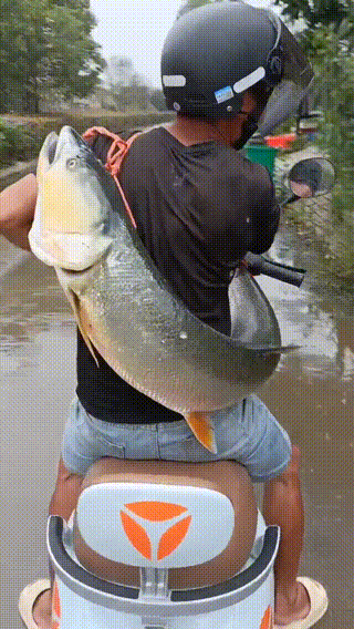 320_568竖版 竖屏gif 动态图 动图