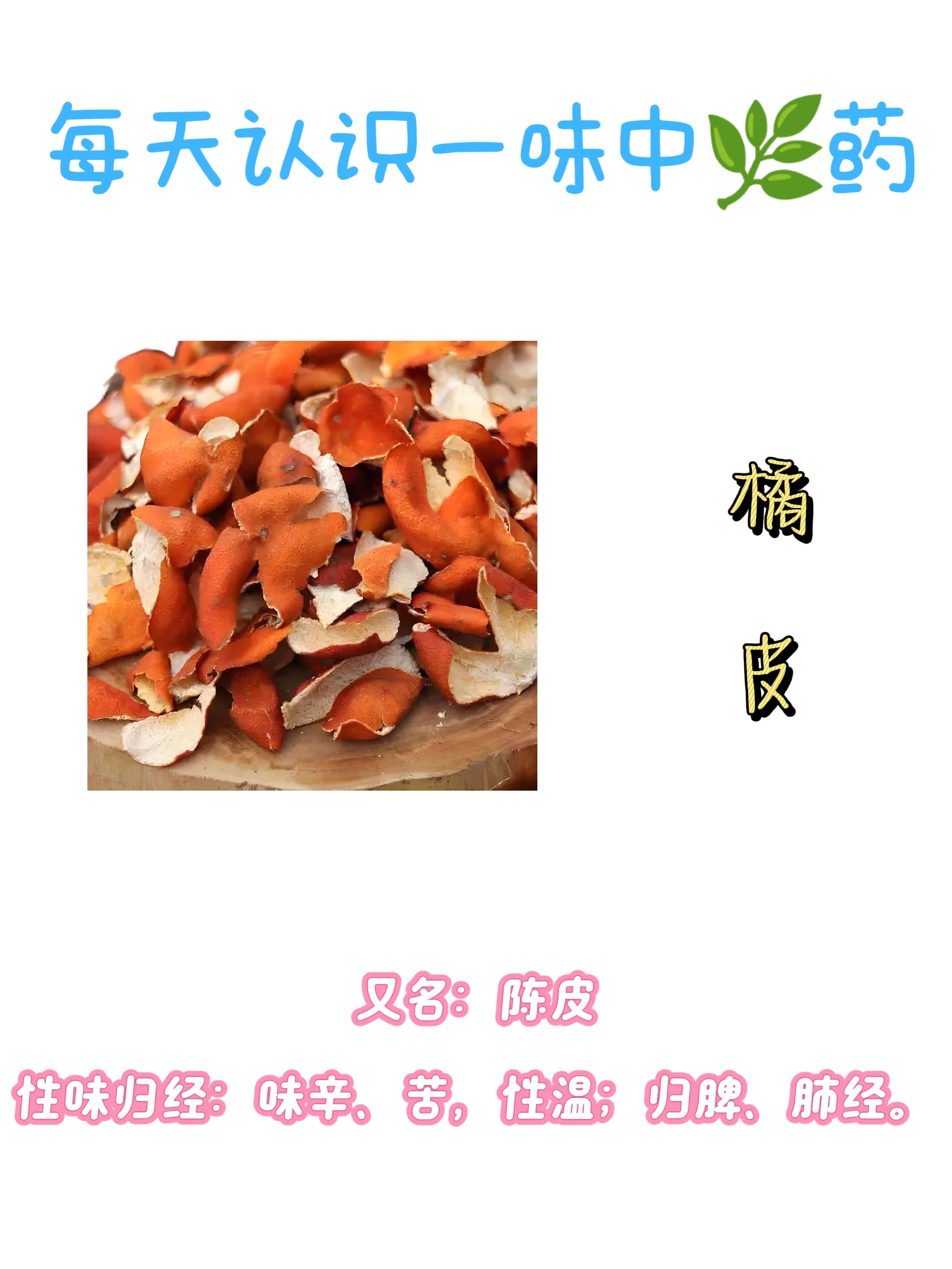橘皮又名陈皮性味归经味辛苦性温;归脾肺经