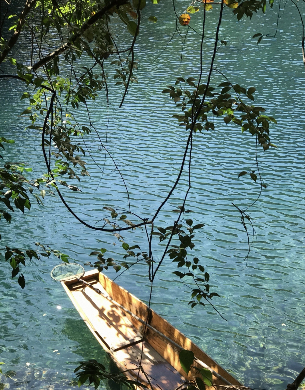 人间仙境之卧龙潭,举世无双旅游胜地  卧龙潭位于小七孔景区的西端,是