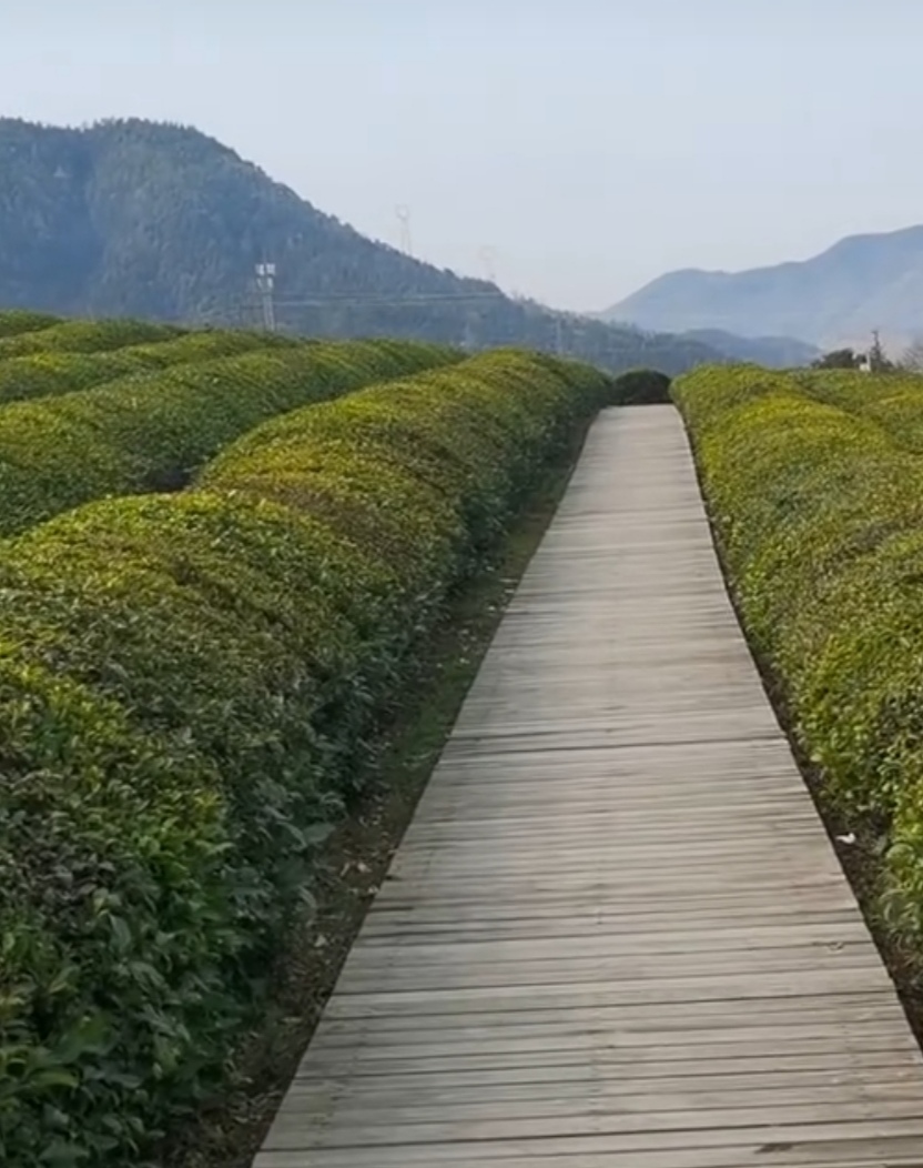 实拍景德镇浮梁寒溪村好比世外桃源