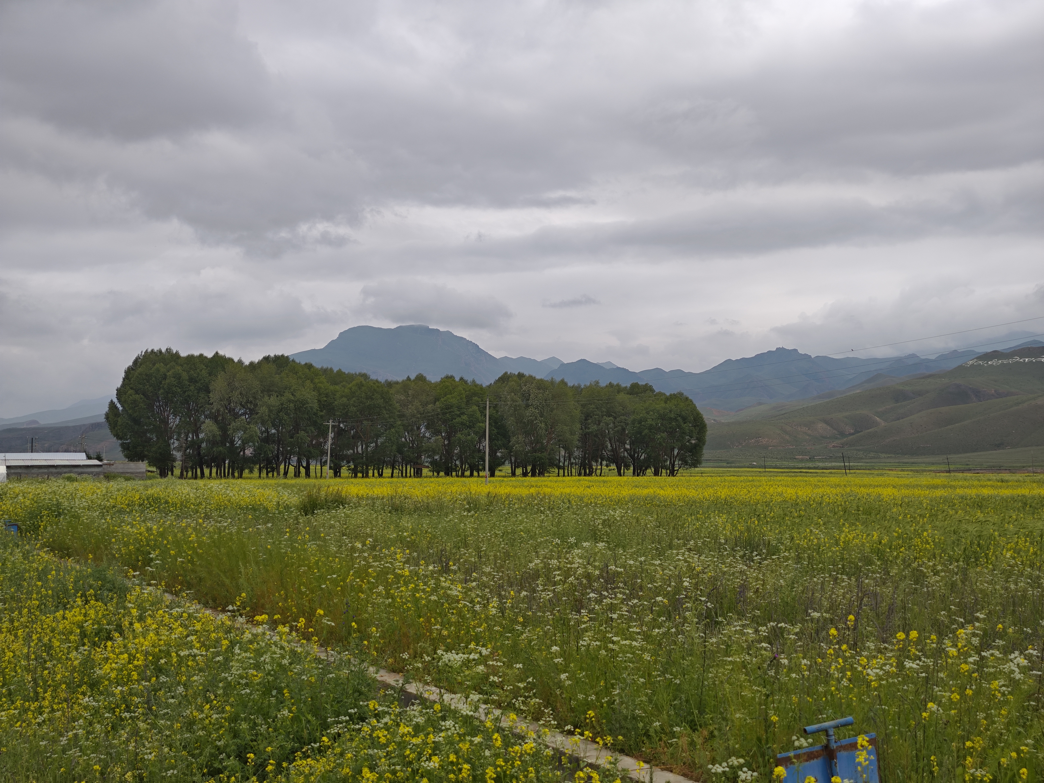 7月13号第27天流水账今天从尖扎线到了甘肃夏河县