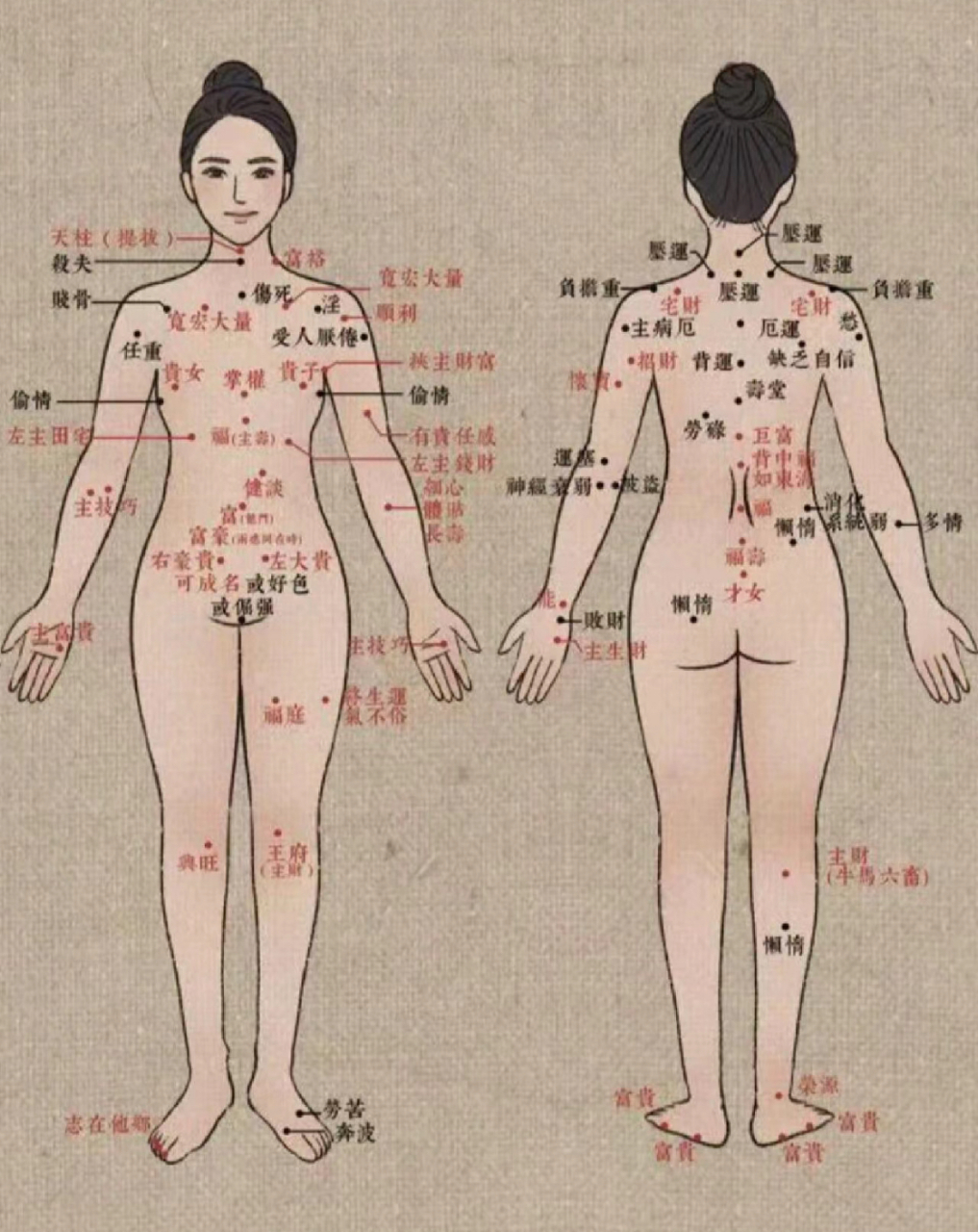 身上的痣{女生}面部加躯干的所有痣图都在这了哈