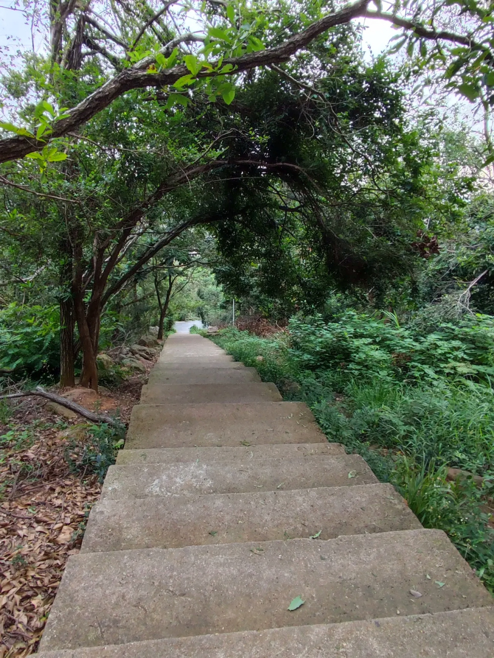 江夏八分山地图图片