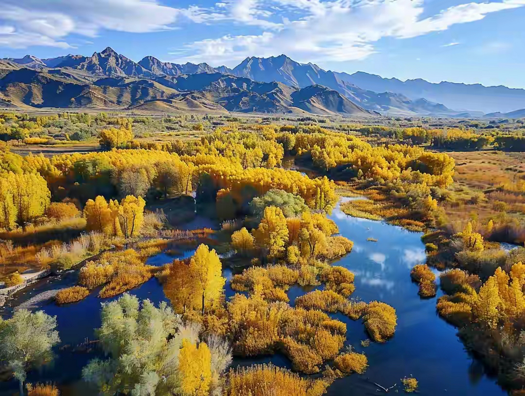 新疆# 南疆自然风光  塔里木胡杨林:胡杨林是沙漠地带特有的生态景观