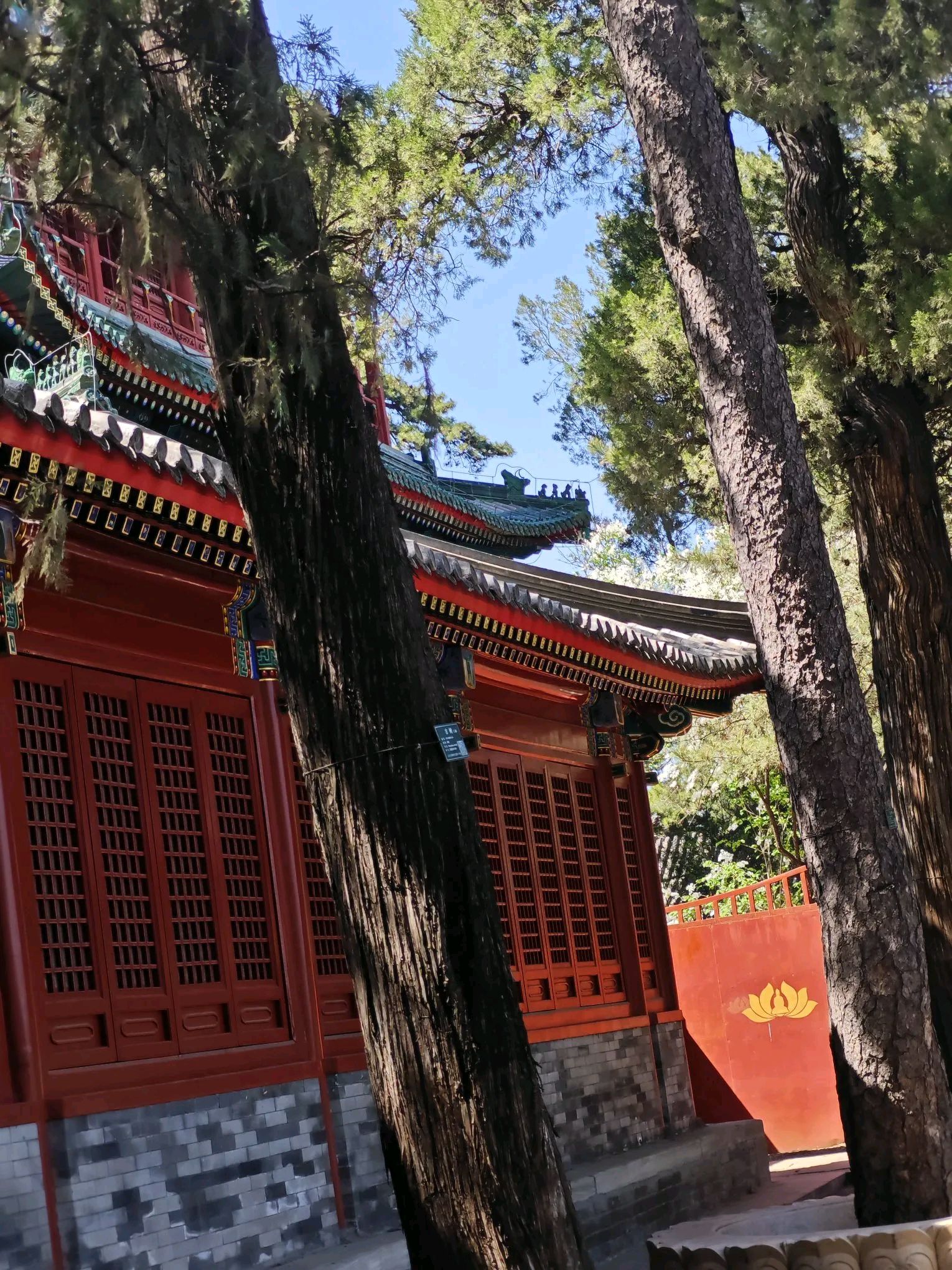 神秀  神秀大师是中规中矩的修行人这个将身体比做菩提树将心摈喻