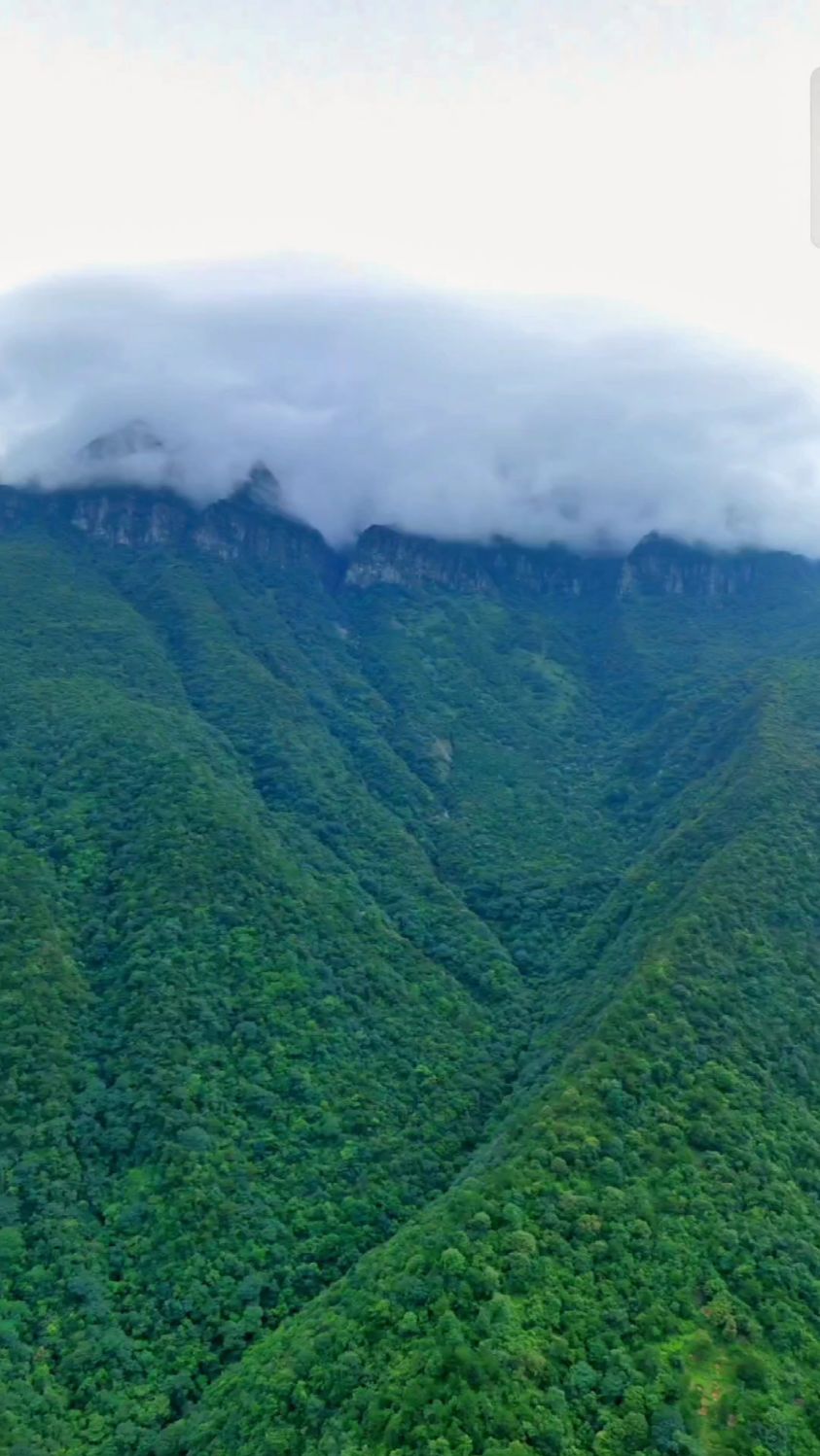 广西大明山龙头峰,峰顶长年云雾缭绕