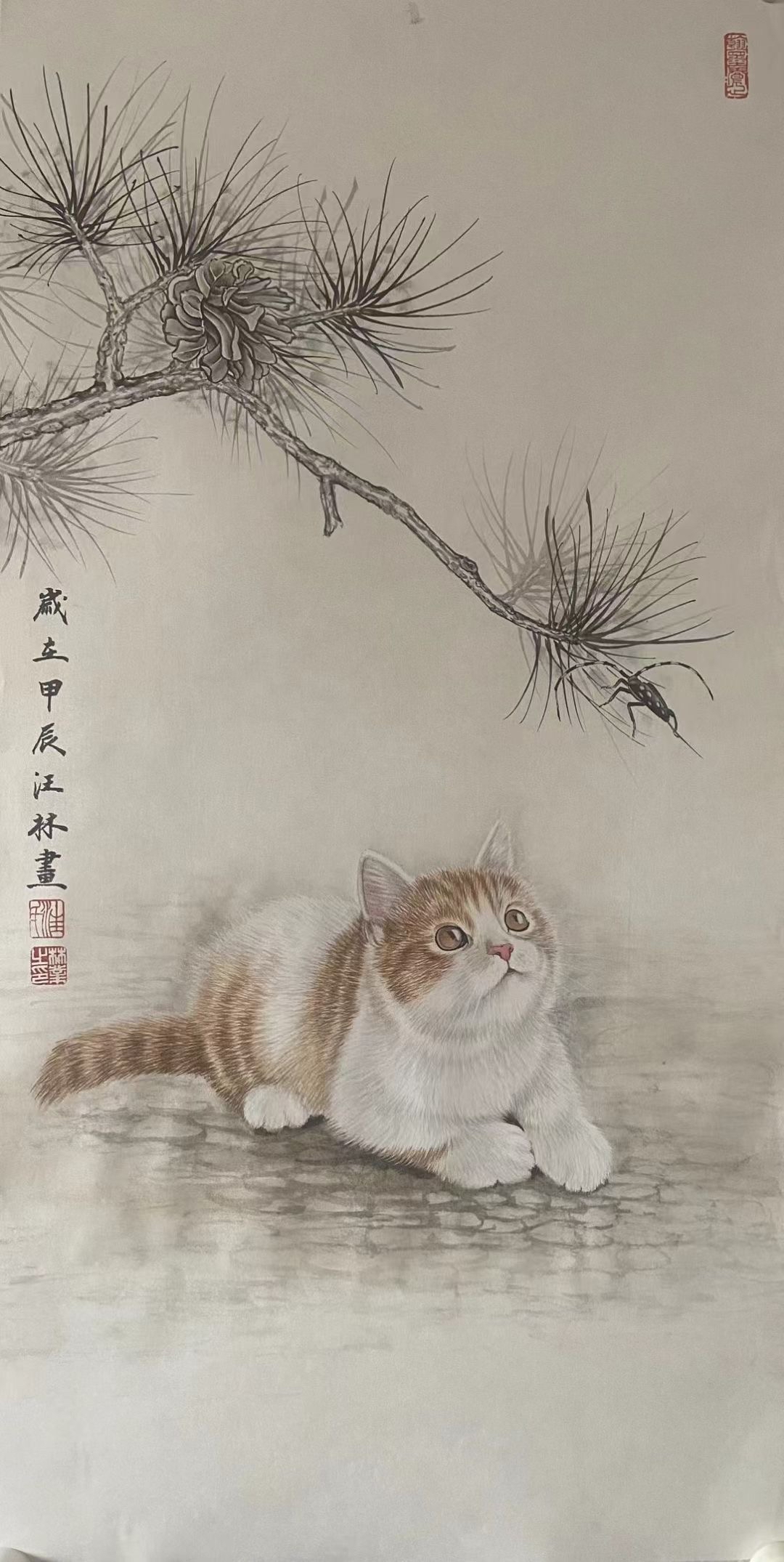 工笔猫的画法和上色图片