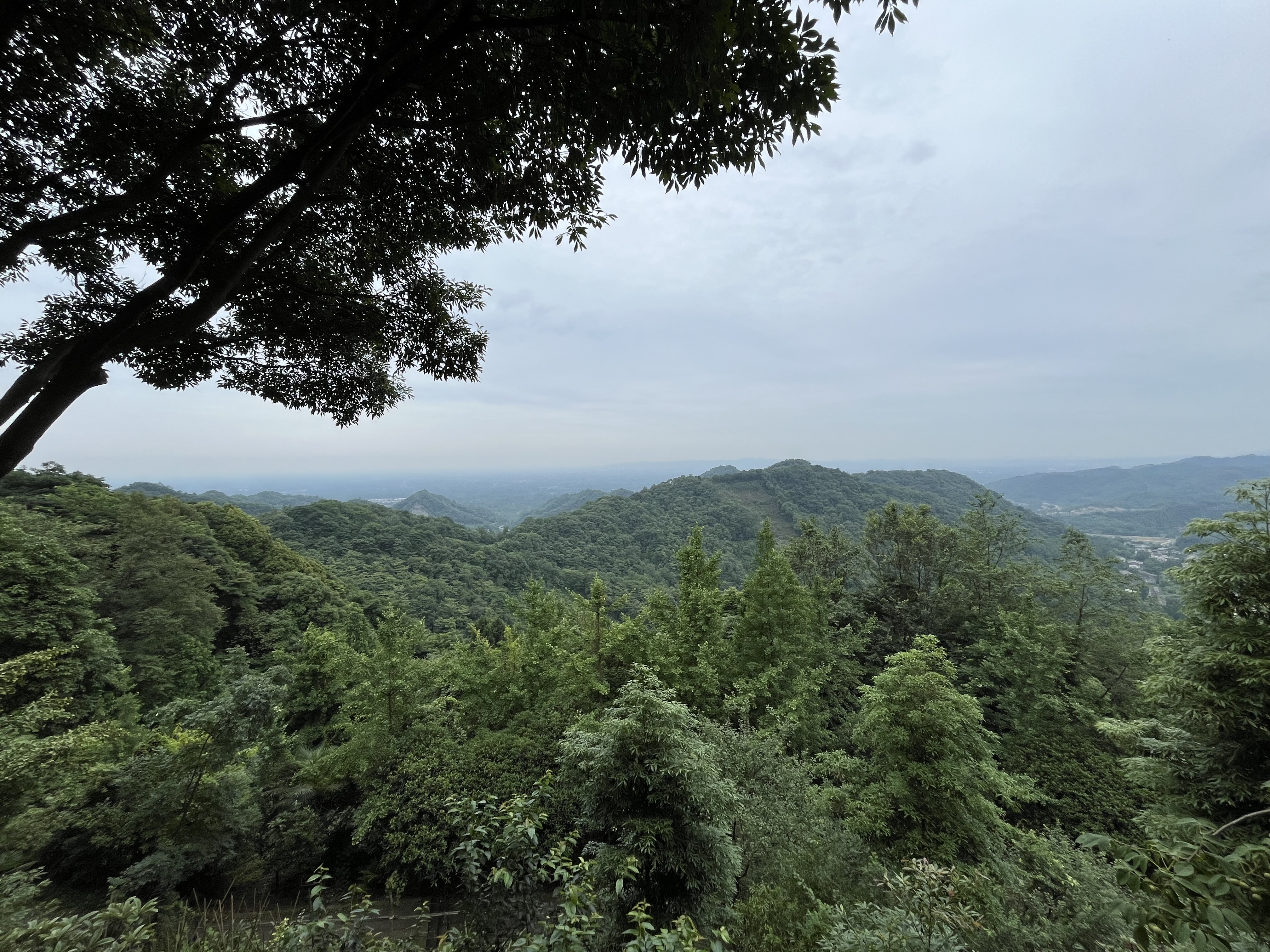 凤栖山梅花寨图片